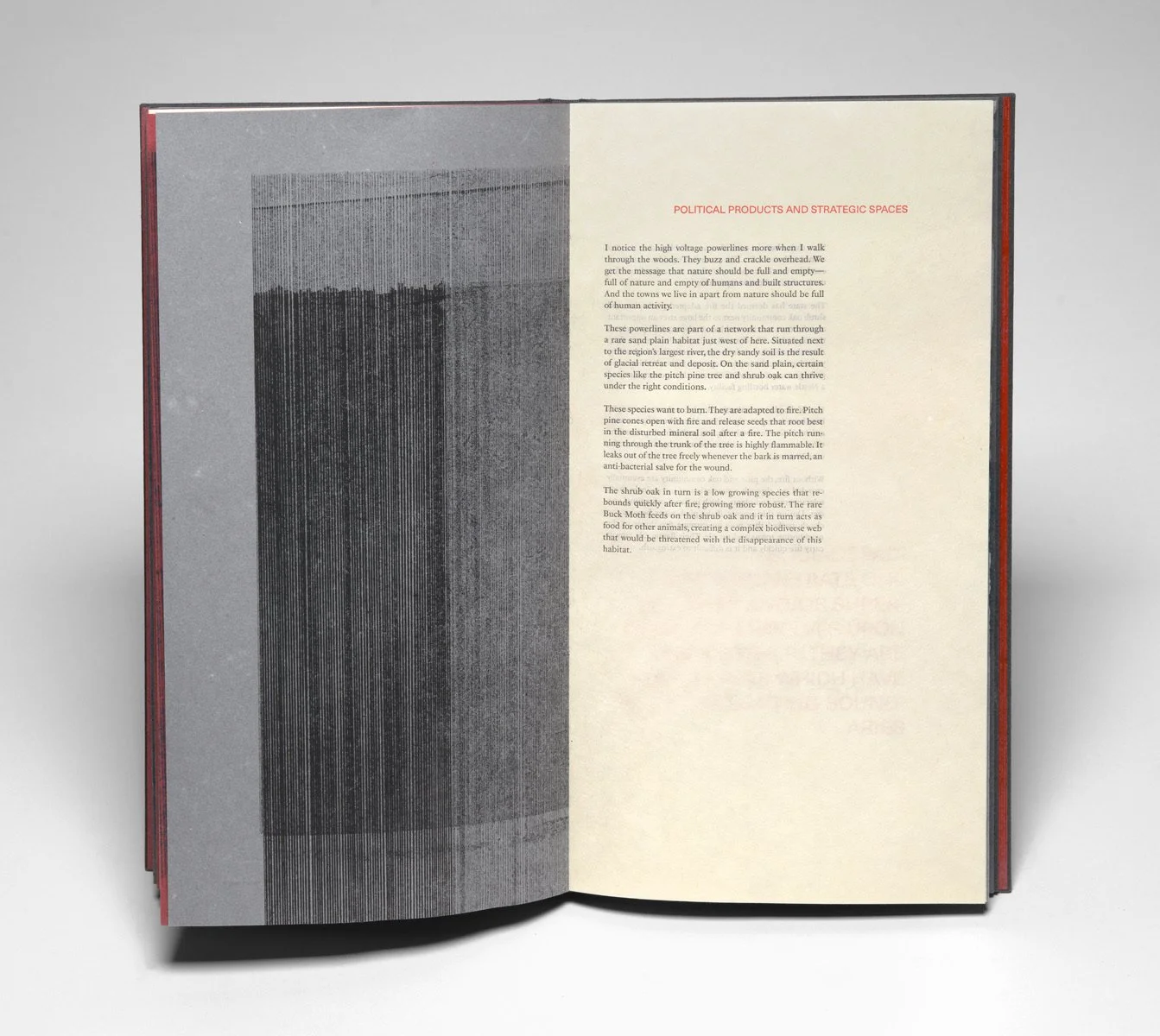 mcba-prize-2026-amy-borezo-fire-study-5-resize.jpeg
