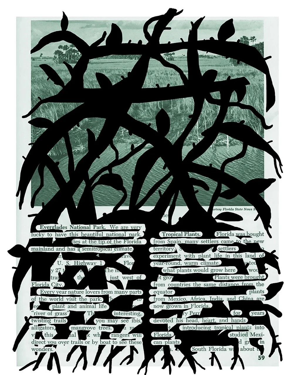 mcba-prize-2026-rachel-simmons-my-florida-2-resize.jpeg