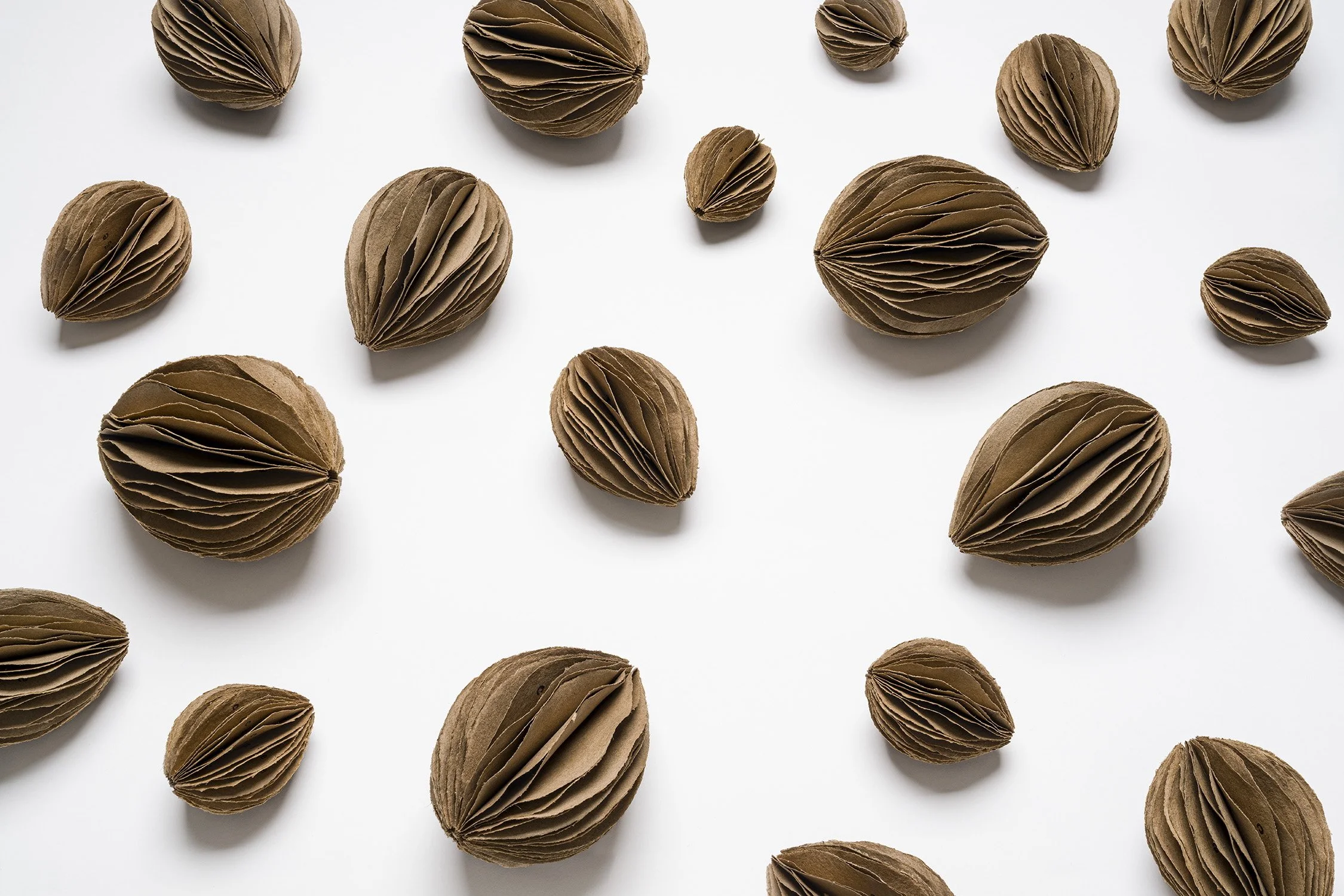 Seeds of Change Artist's Book by Erica Spitzer Rasmussen
