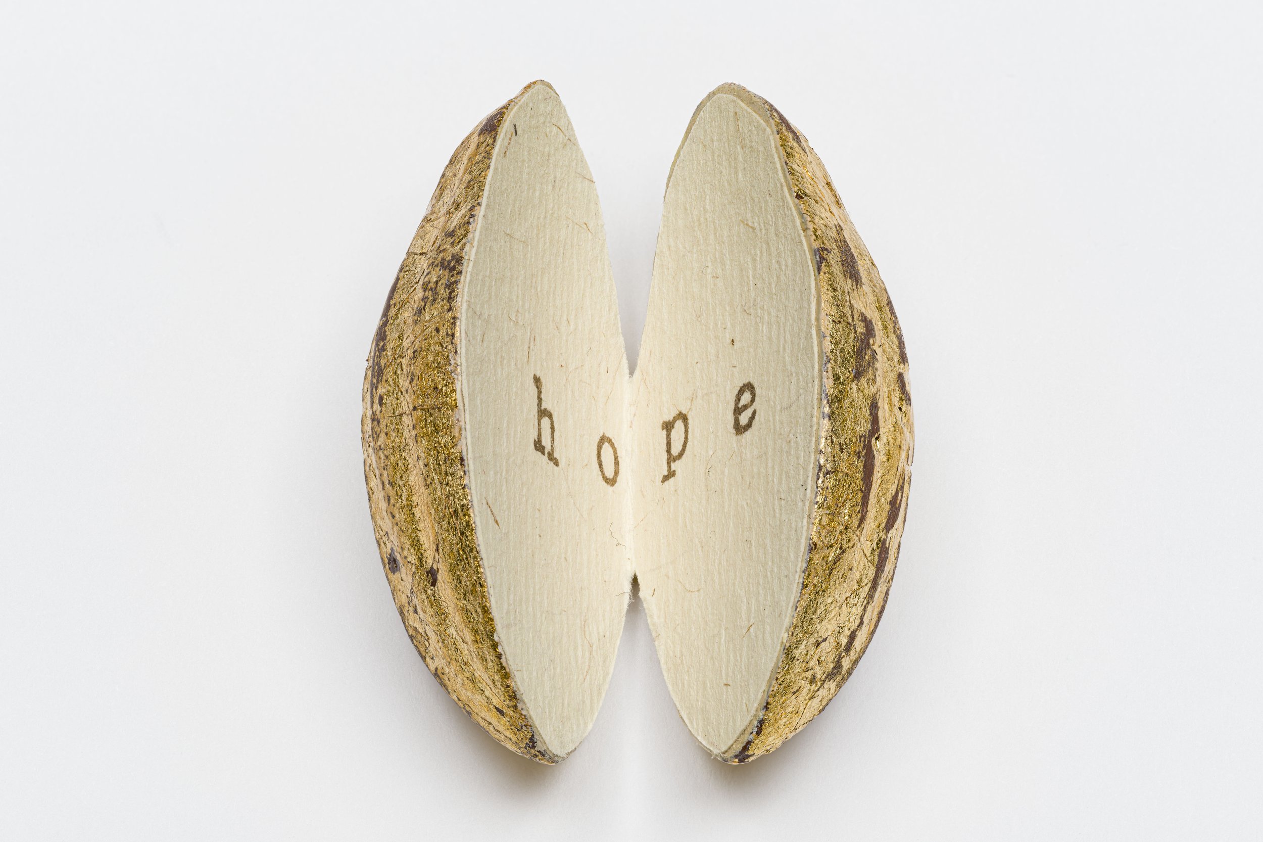 Hope, Seeded Artist's Book by Erica Spitzer Rasmussen