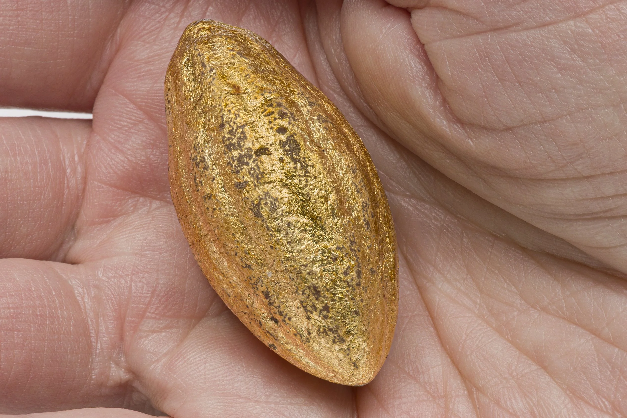 Hope, Seeded_palm.jpg