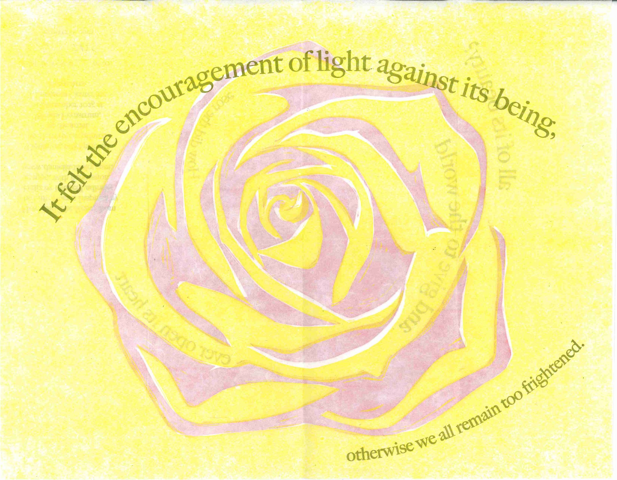 Stand Together, Rose, Midwest Plants, Cheese Zines - For Website_Page_04.jpg