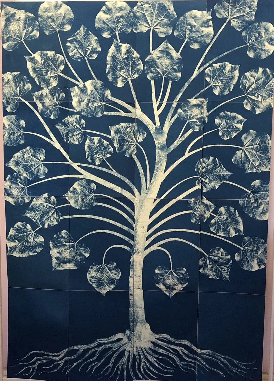 Tree Stories Artist's Book by Lisa Rappoport