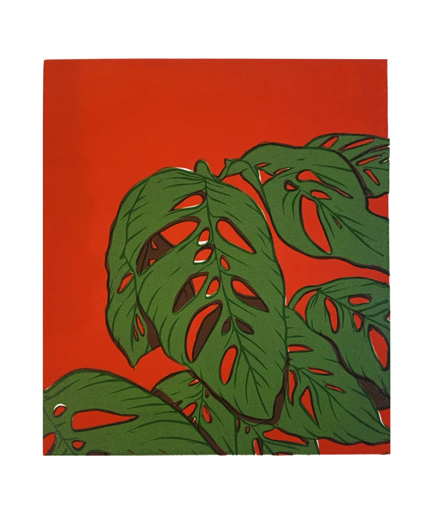 Monstera Adansonii Print by Elaisha Hilliard  Minnesota Center for Book  Arts