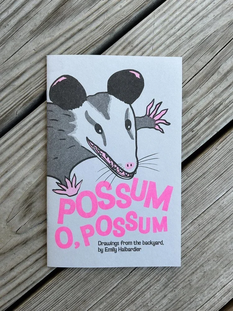 MCBA-PossumOPossumZine-2.17.26-1.jpg