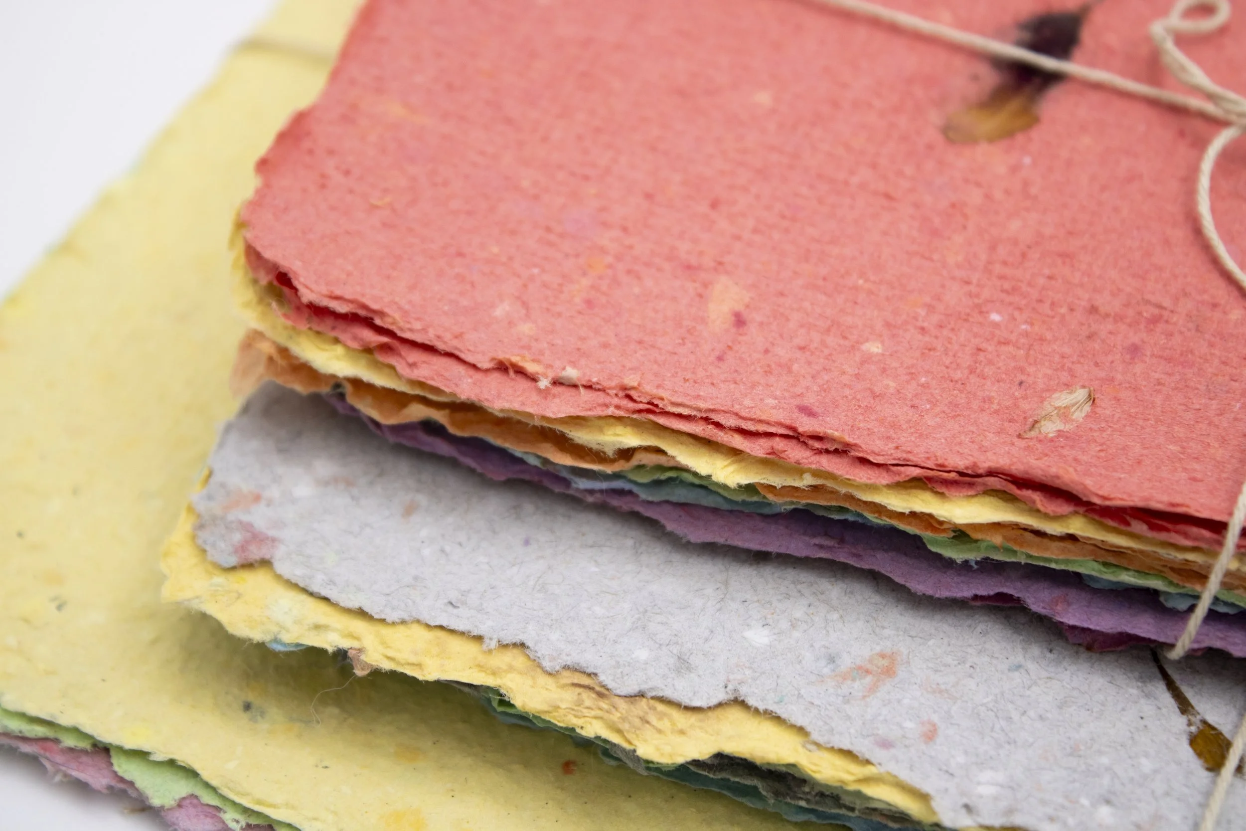 MCBA-JuliaKuhns-PaperRecycled-03.jpg