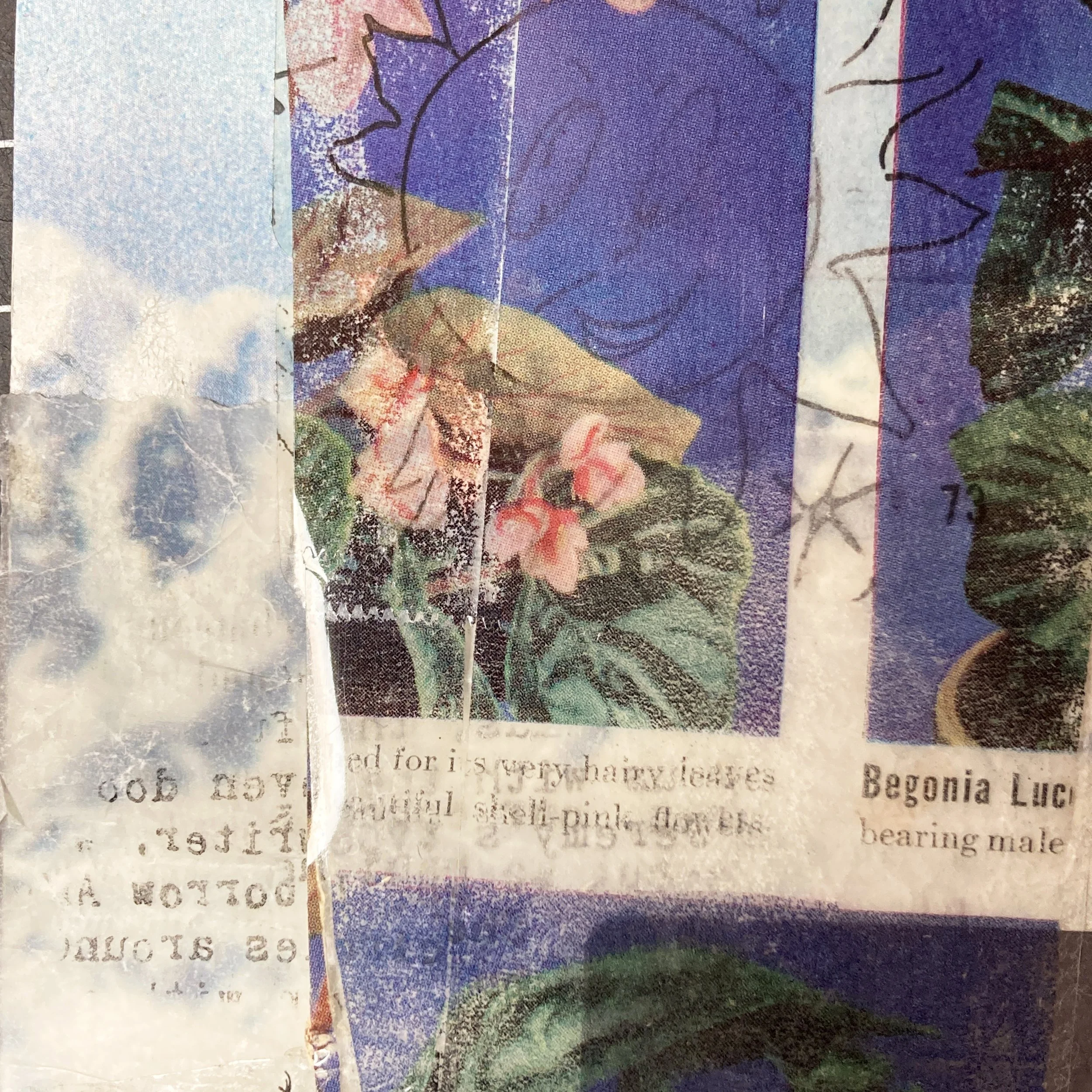 Image Transfers for Collage