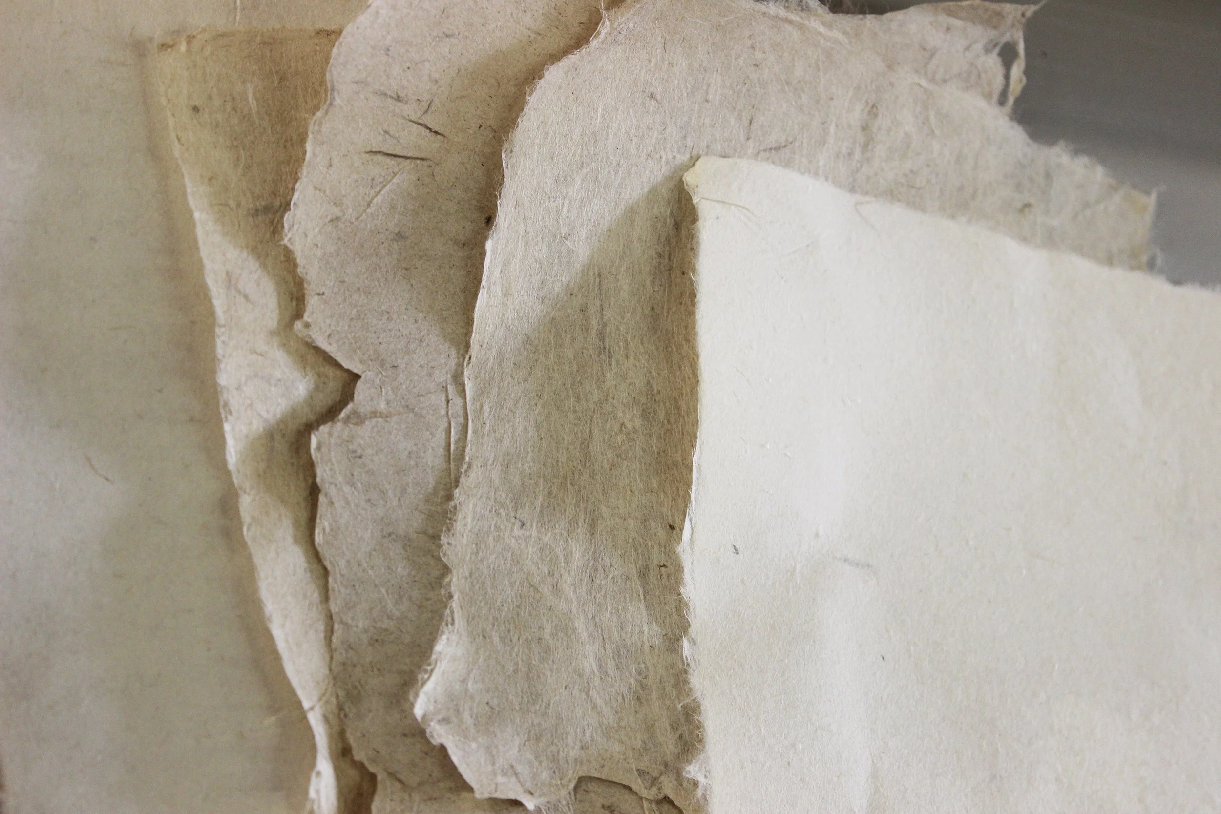 MCBA-wksp-OMalleyJapanesePapermaking-2022-4.JPG
