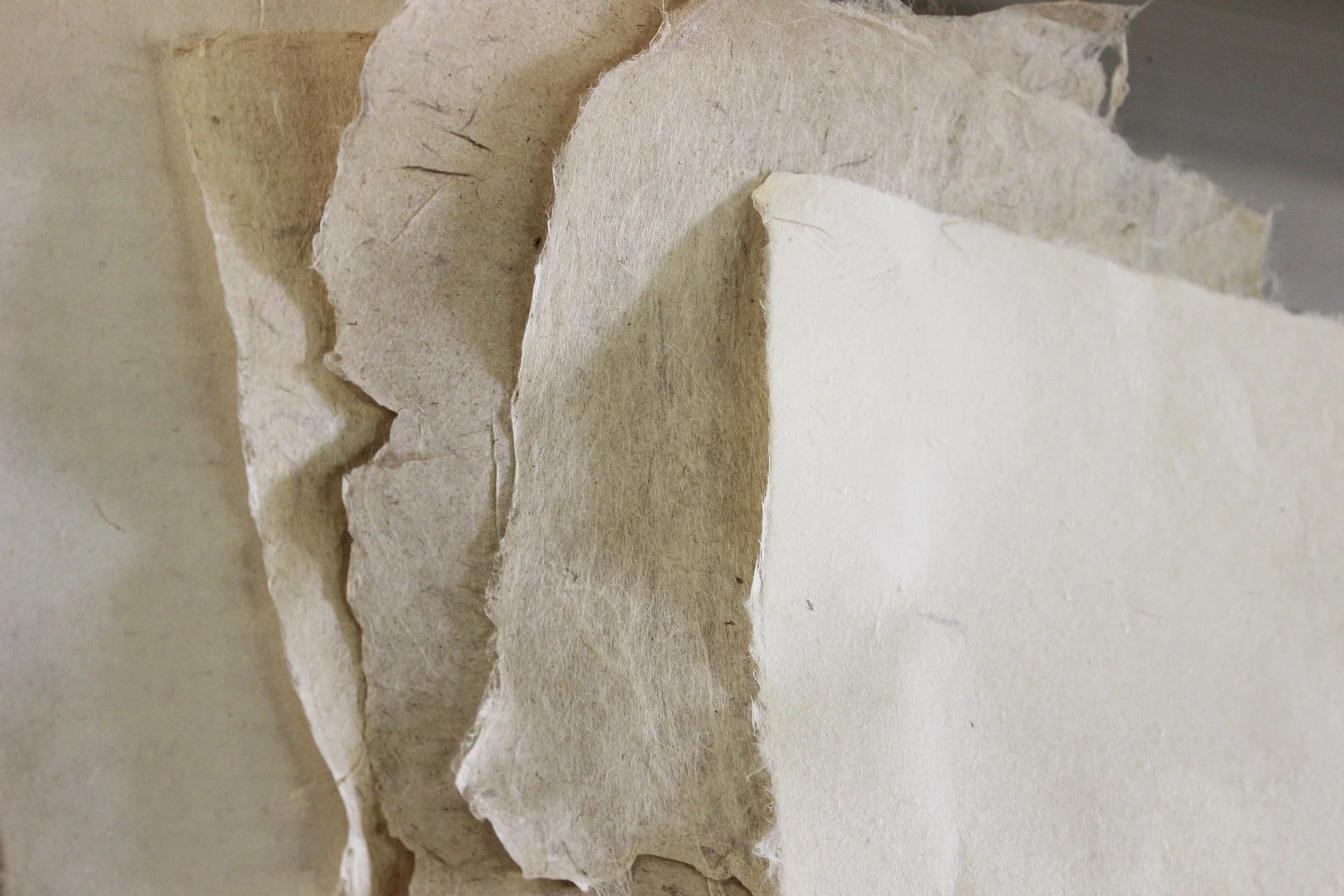 MCBA-wksp-OMalleyJapanesePapermaking-2022-4.jpg