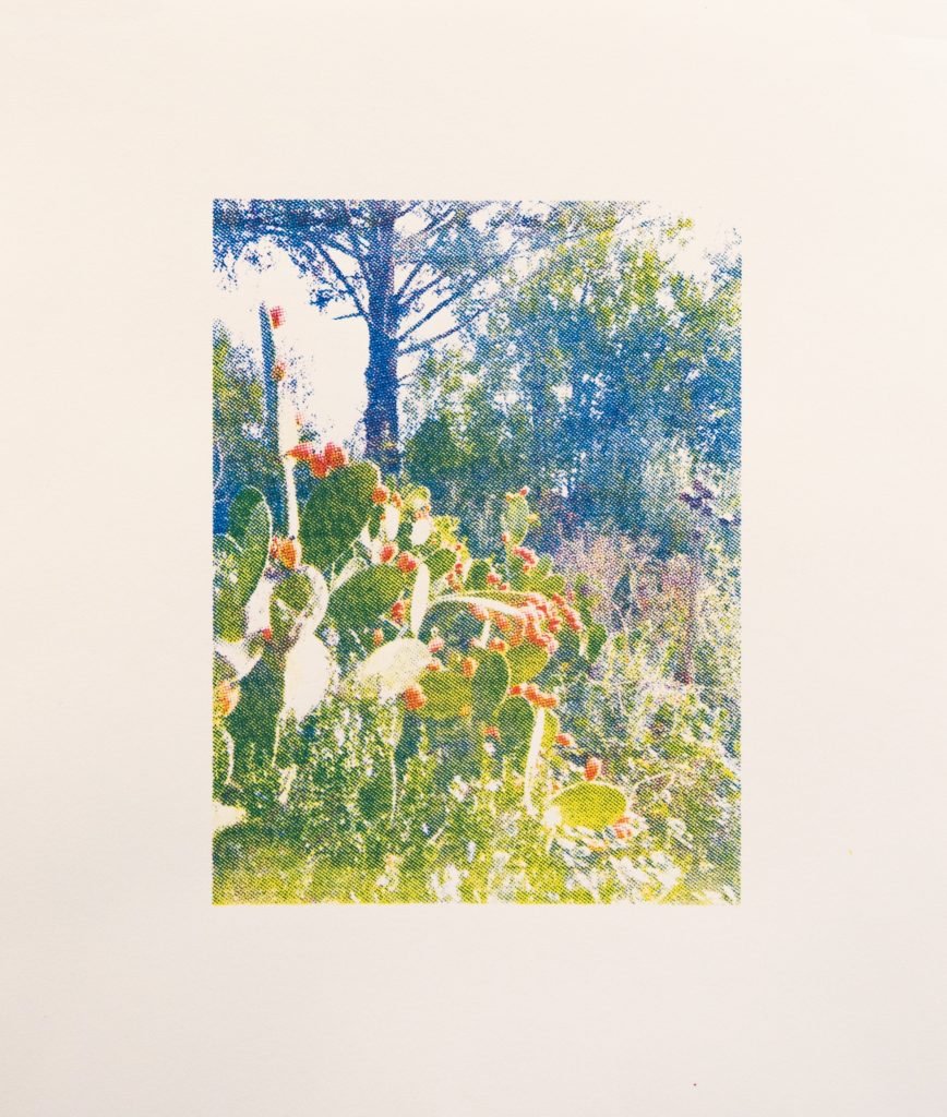 Gabi Estrada Cactus Print nopalera.jpeg