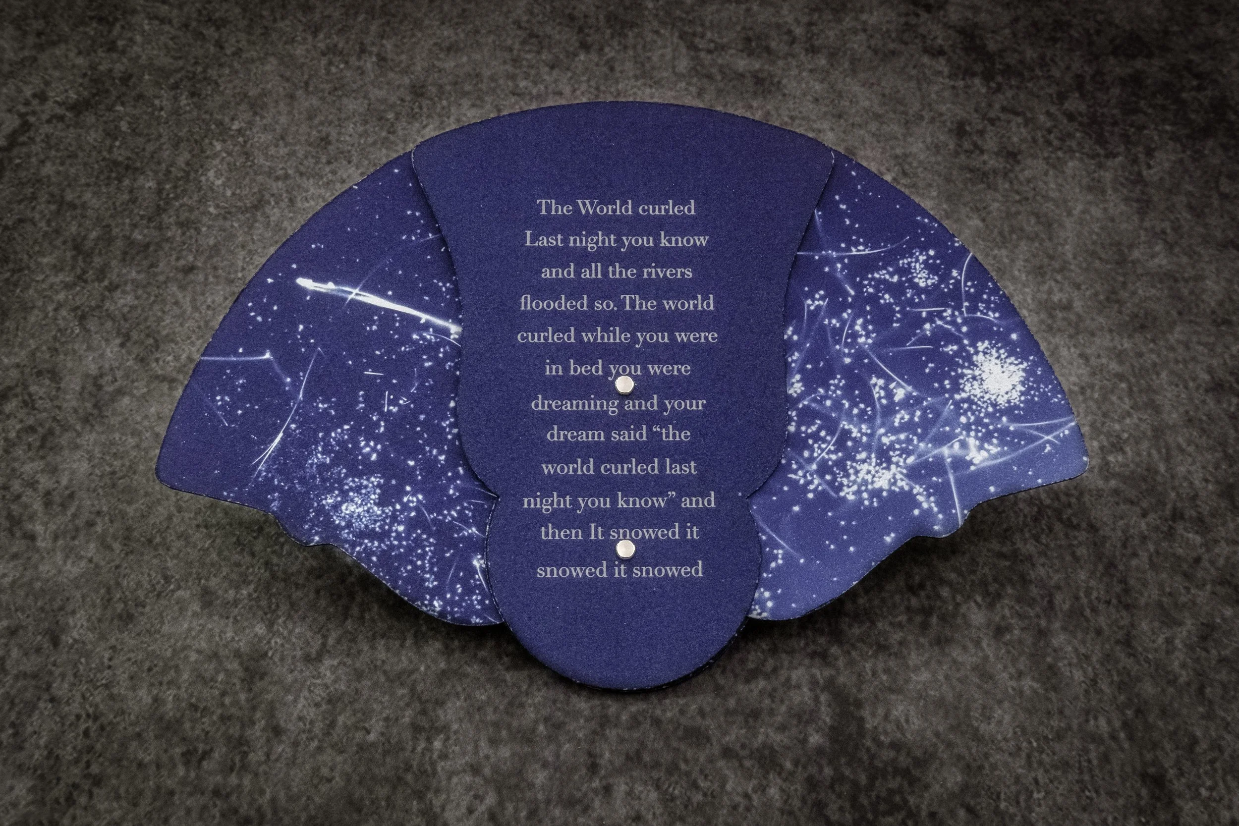 The World Curled Fan Project Artist's Book by Lisa Nebenzahl