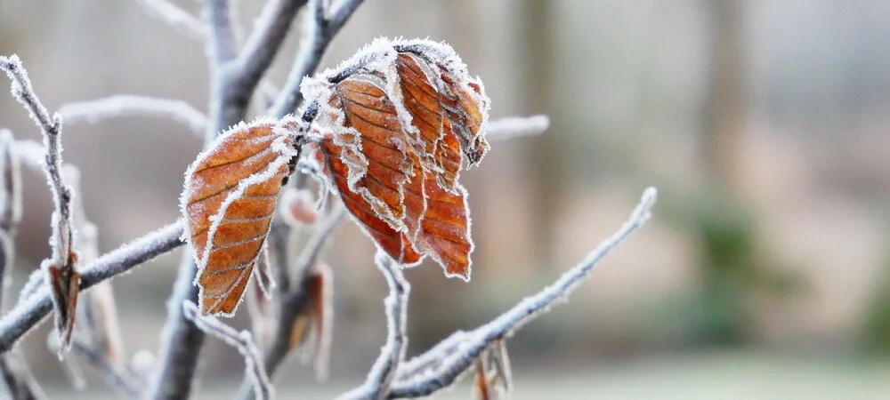 Workshop-Winterpause