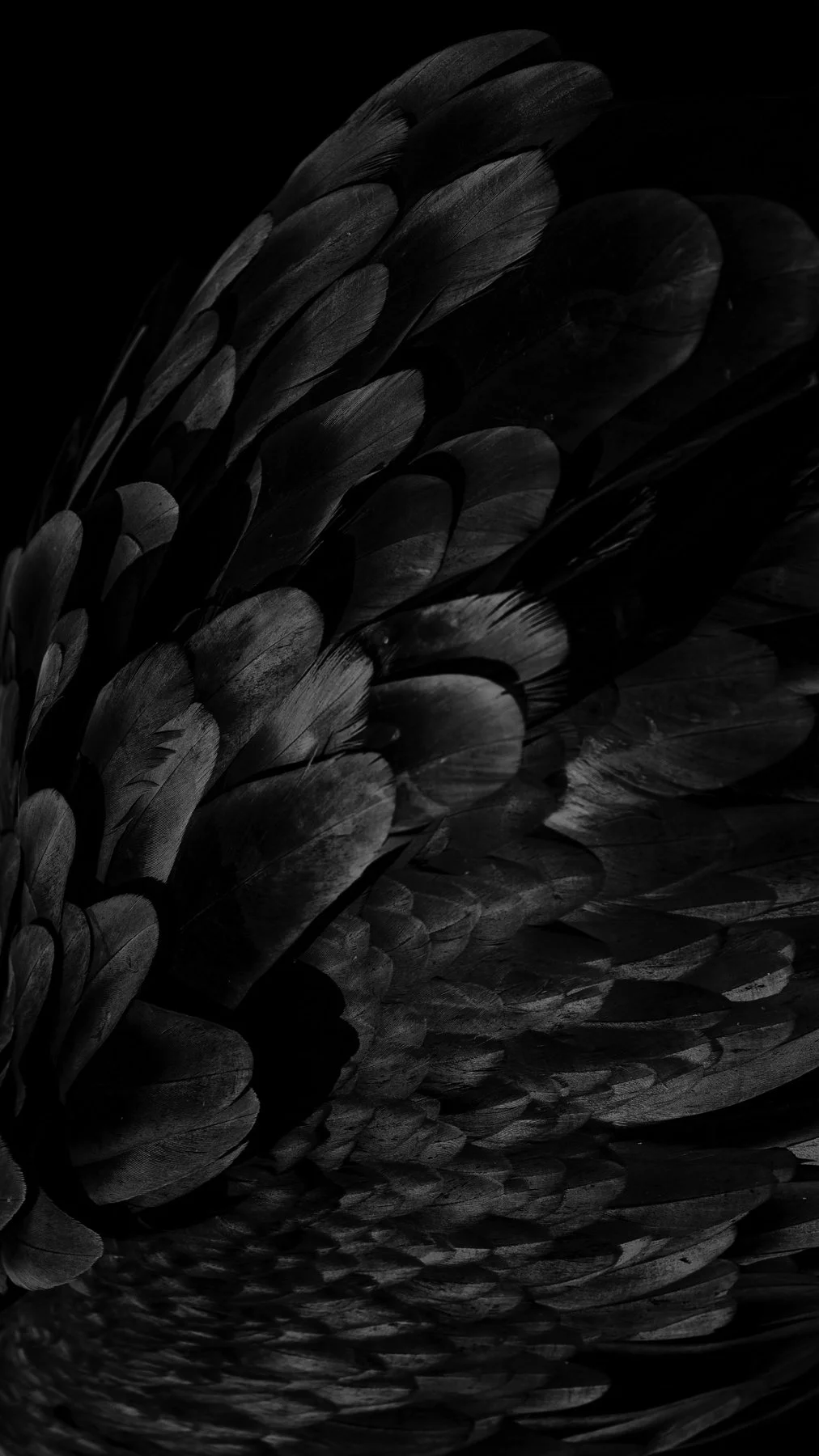 DAY 4 — Social, Storytelling & Community