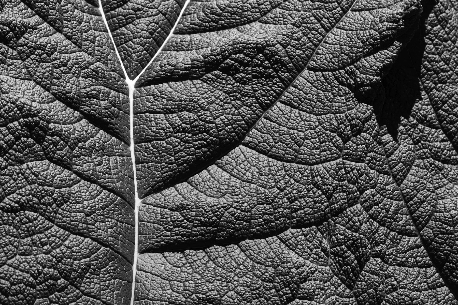 DAY 1 — Crafting Your Brand