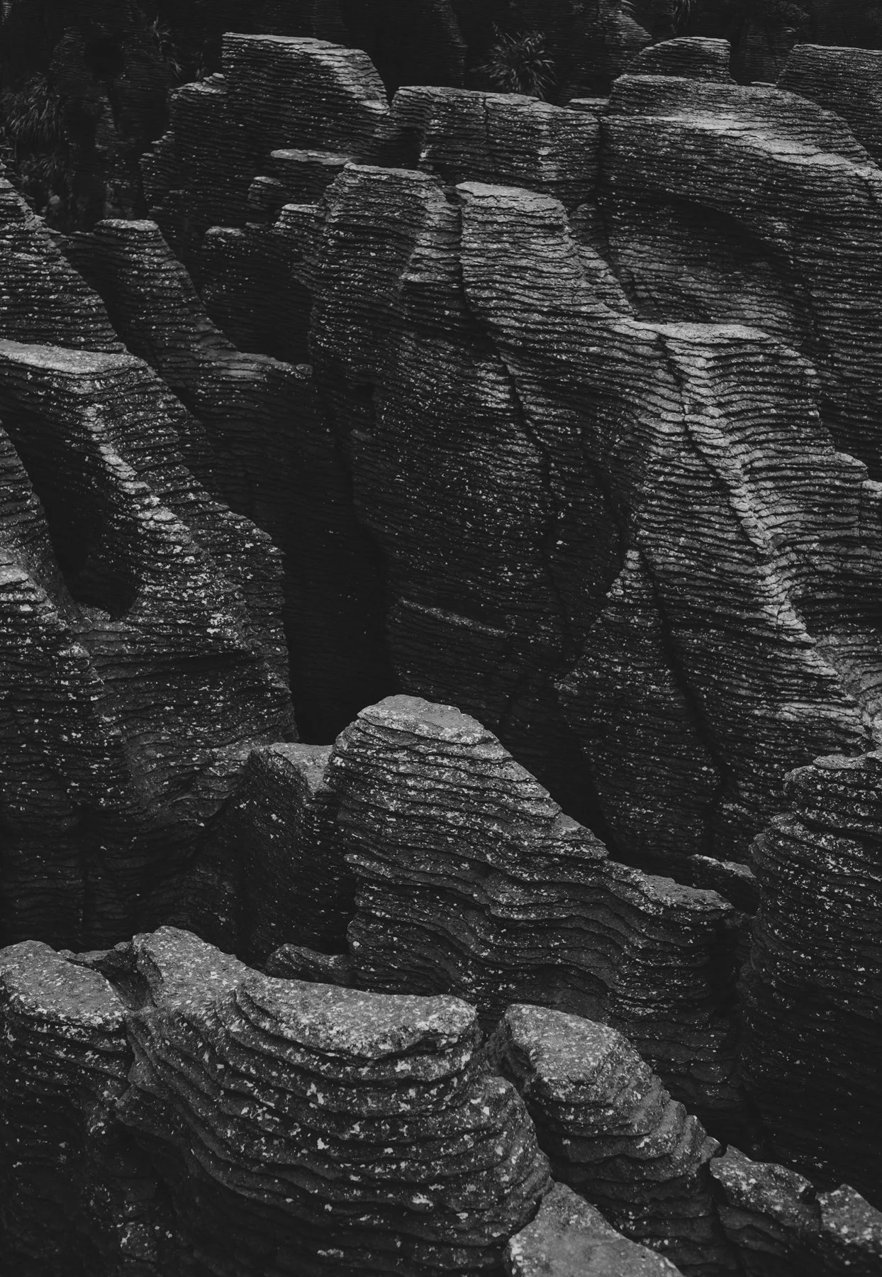 DAY 2 — Purpose, Craft & Cultural Relevance