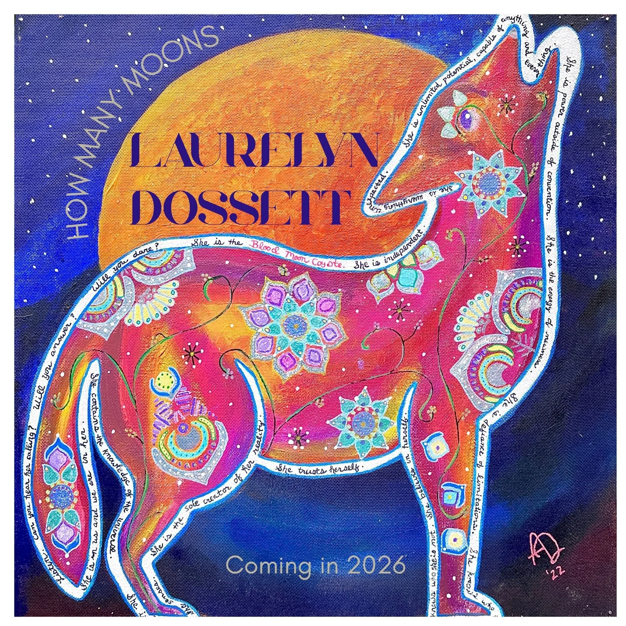 LIVE VIDEO Show, Full Band, Flat Iron Residency, William Metheny supporting