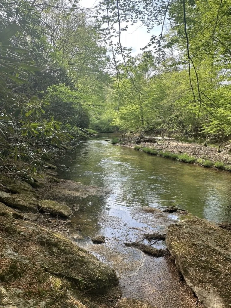 Twin Falls Guitar Workshop (instructor)