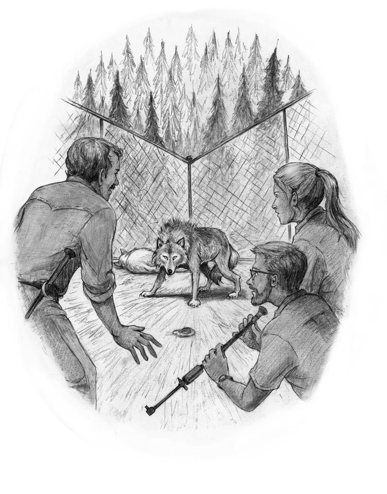 alice-ratterree-wolfkeepers-illustration-chapter12.jpg