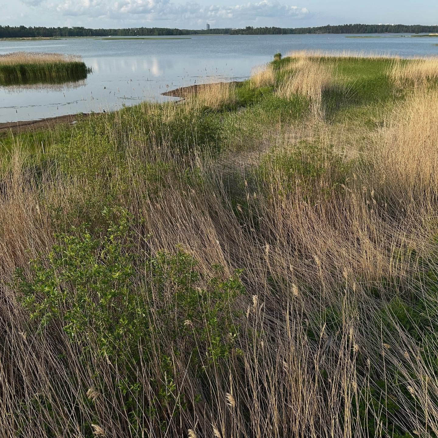 Downtown Helsinki on the horizon - nature a stone&rsquo;s throw away. 😊