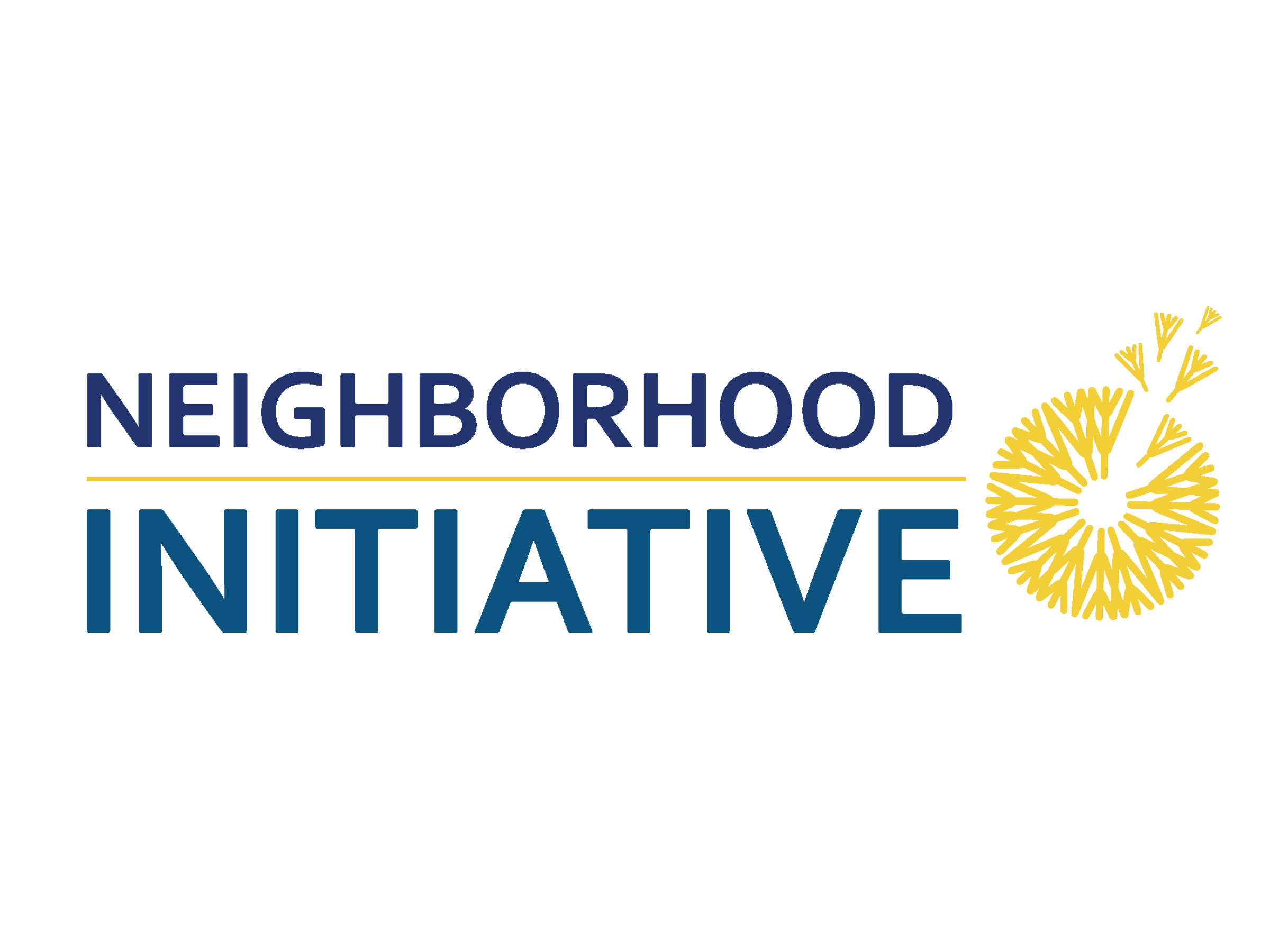 Neighborhood Initiative