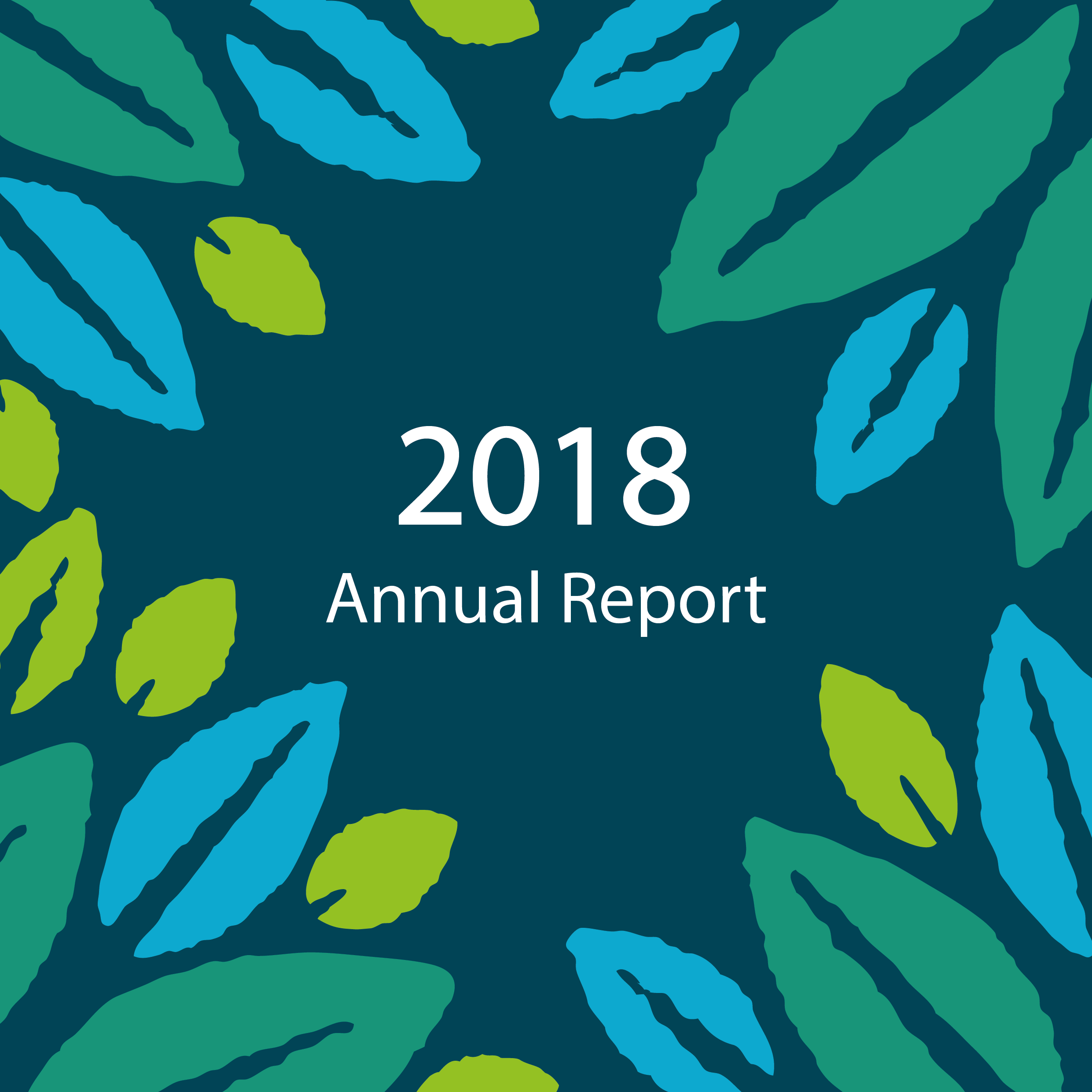 Annual Report 2018-01.png