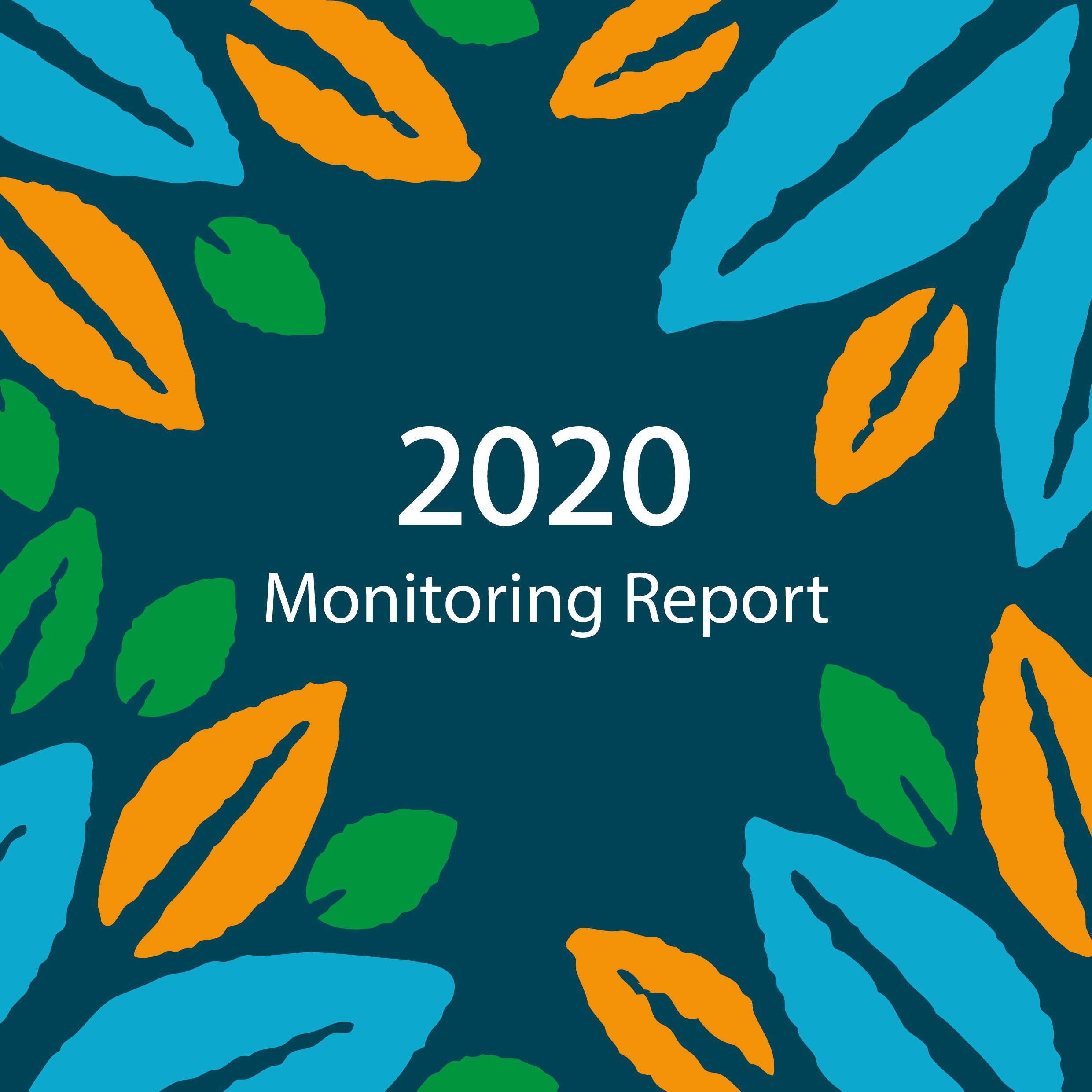 Monitoring Report 2020-01.png