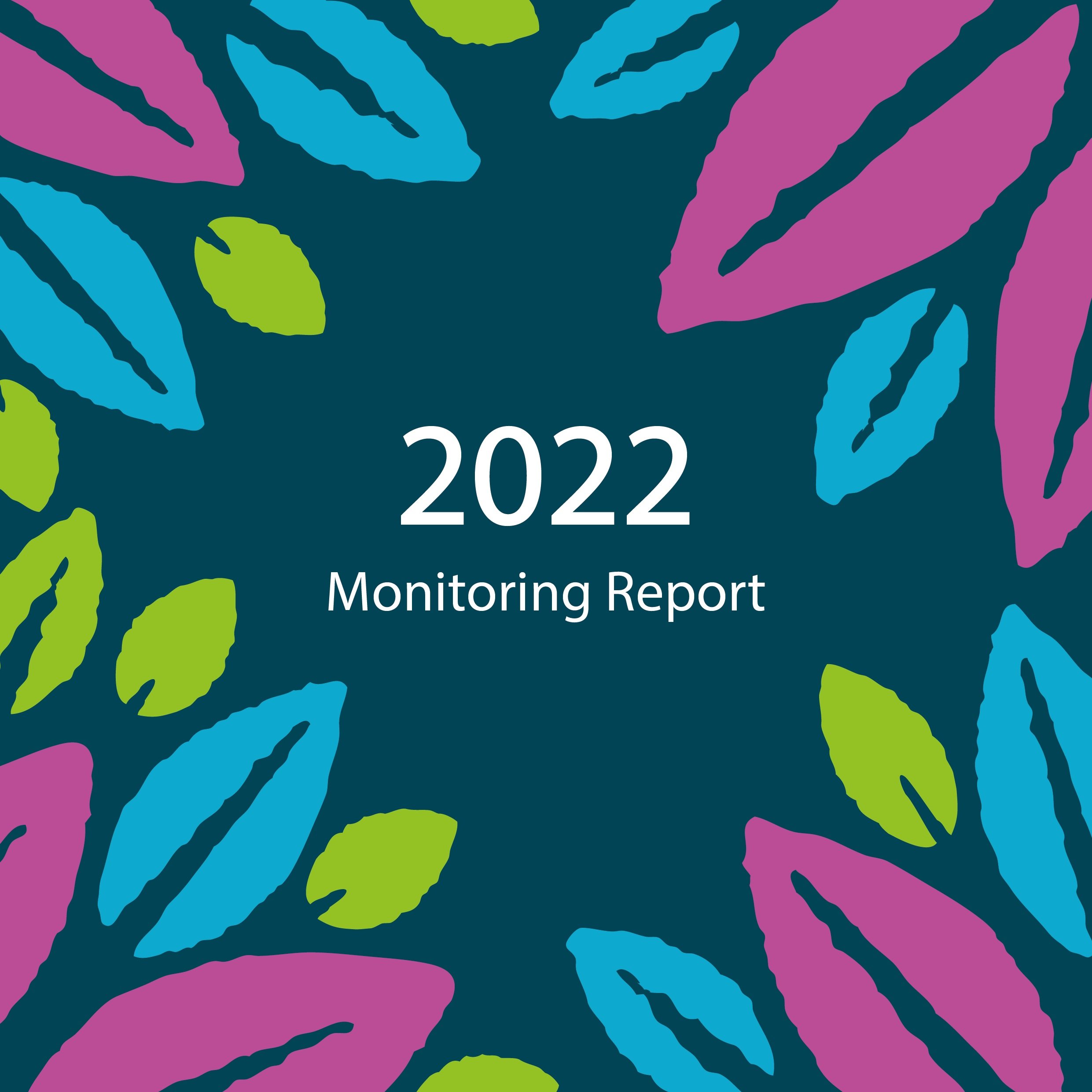 2022 Monitoring Report