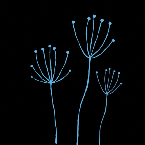 VINCENT FALLS DESIGNS 