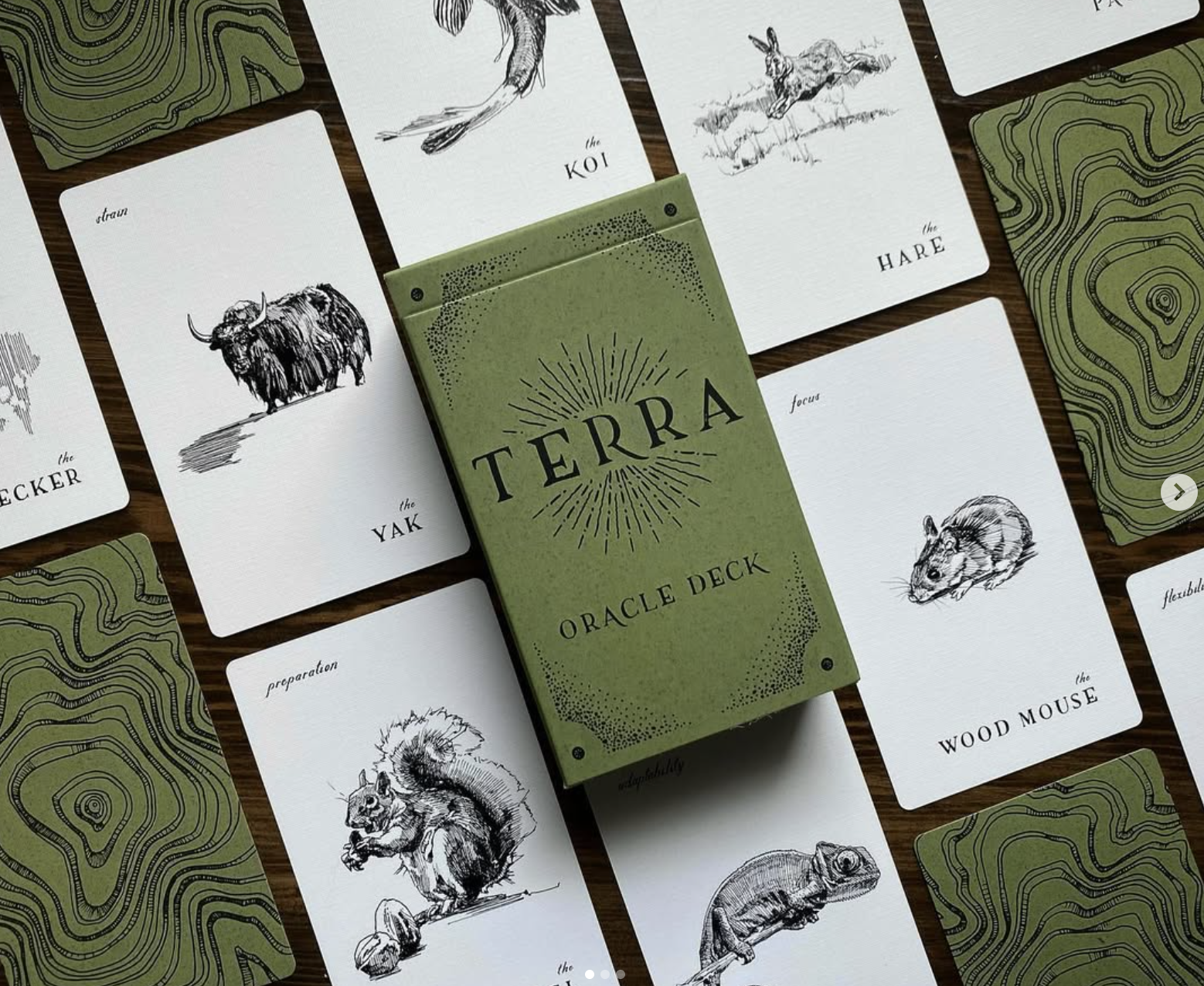 Screenshot 2026-01-05 at 3.31.01 PM.png