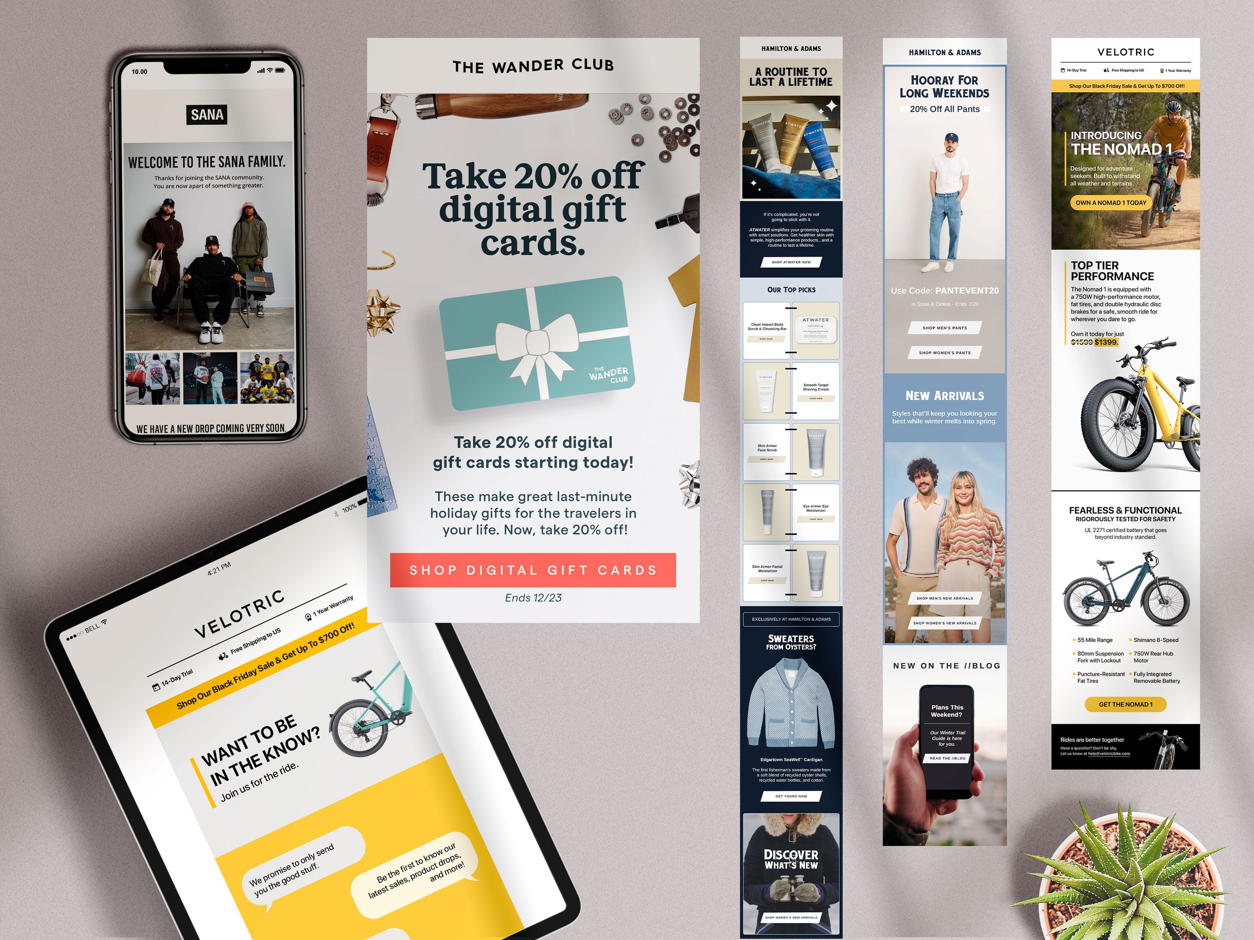 Longer Length Email Campaign Examples 