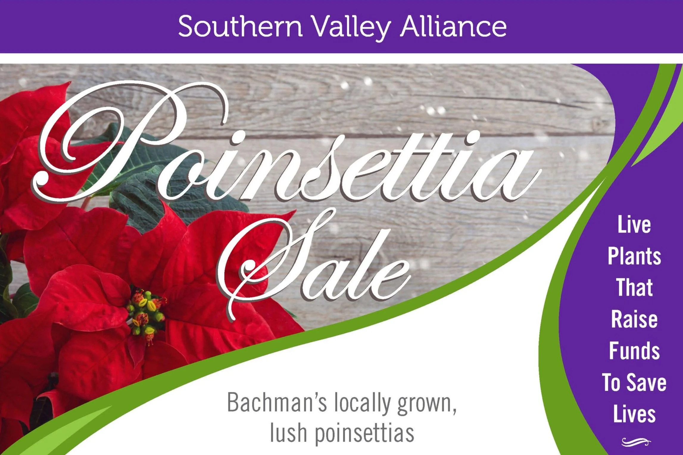 Poinsettia Fundraiser