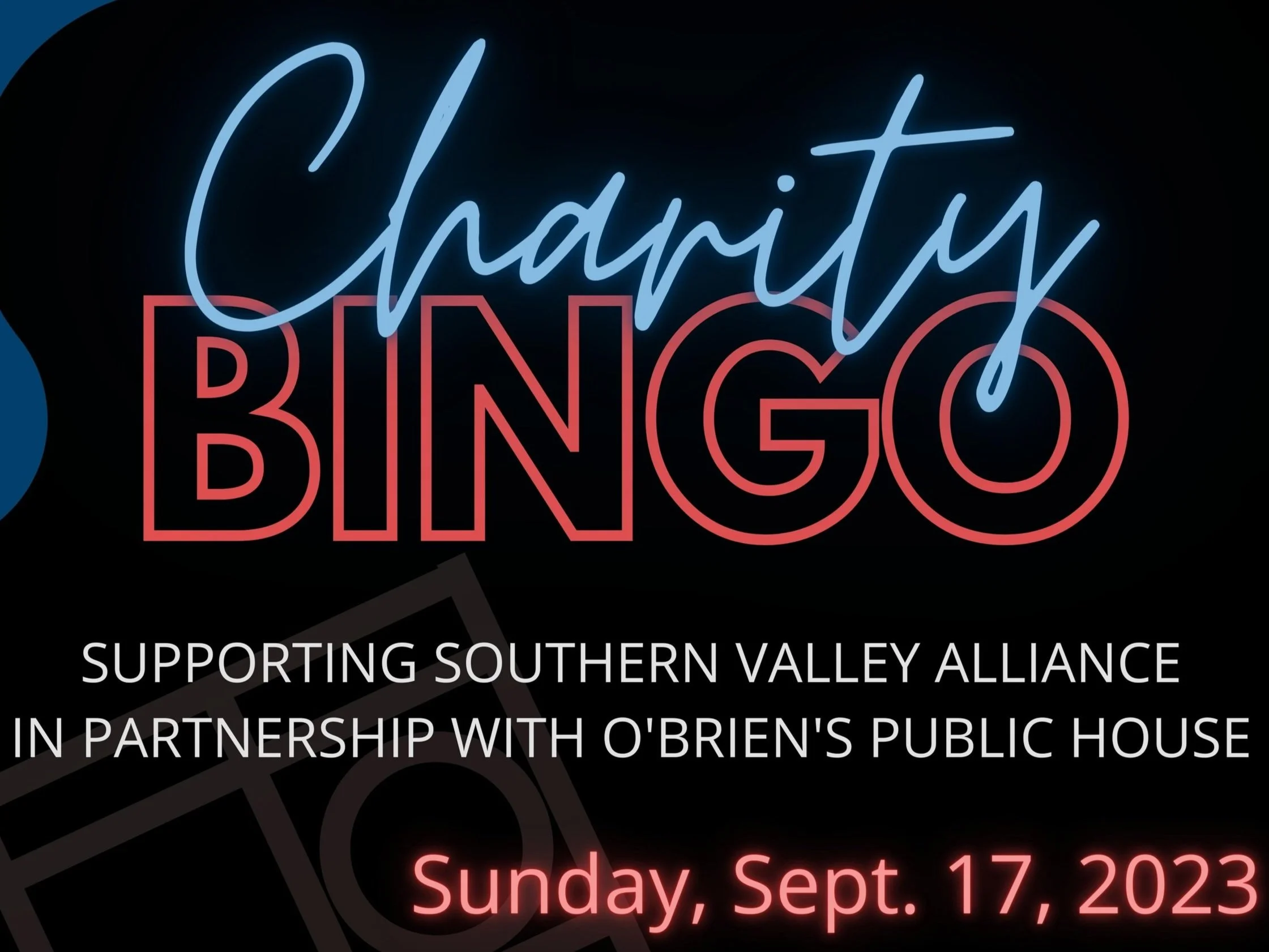 Charity Bingo for SVA at O'Brien's Public House