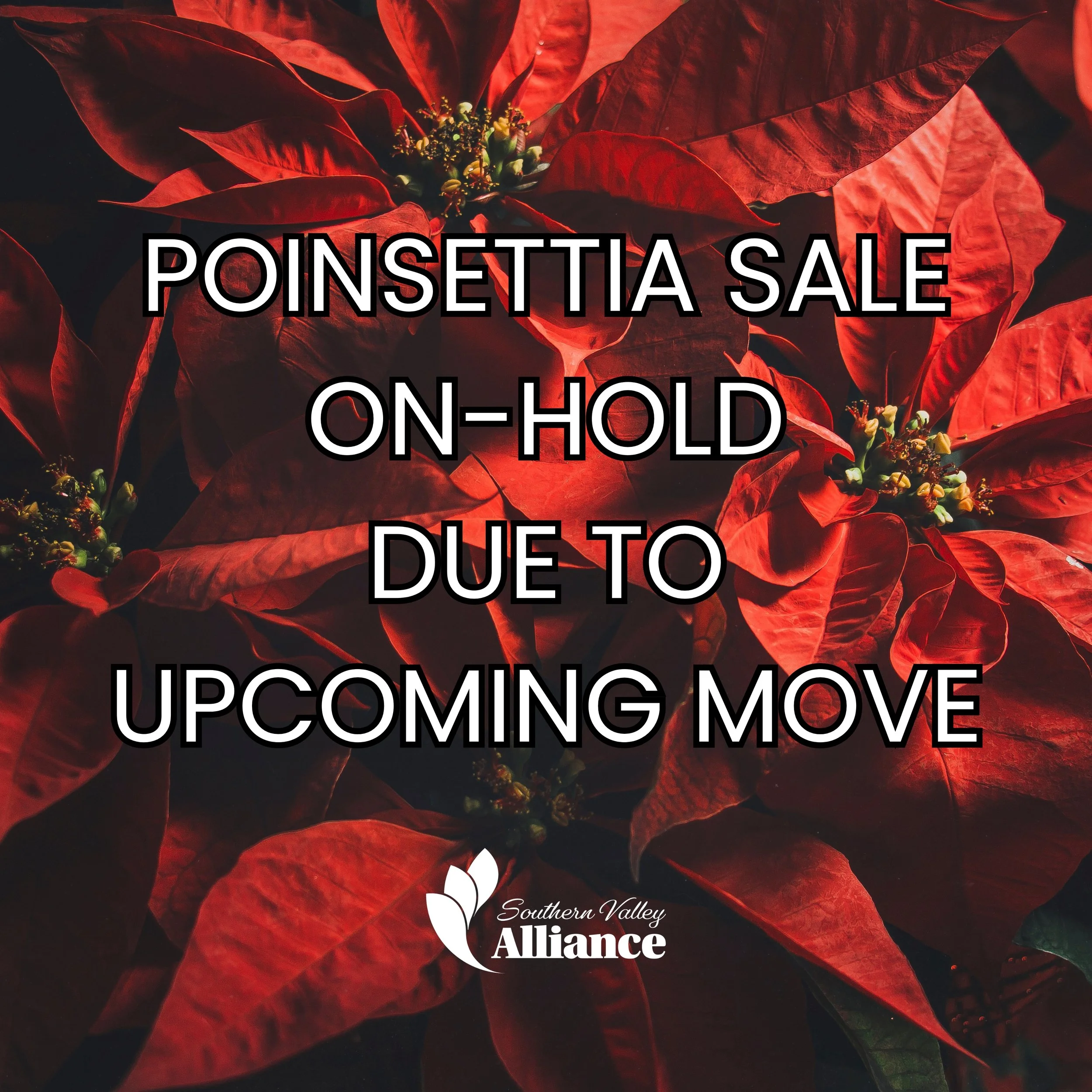 Poinsettia Sale On-Hold Due To Upcoming Move