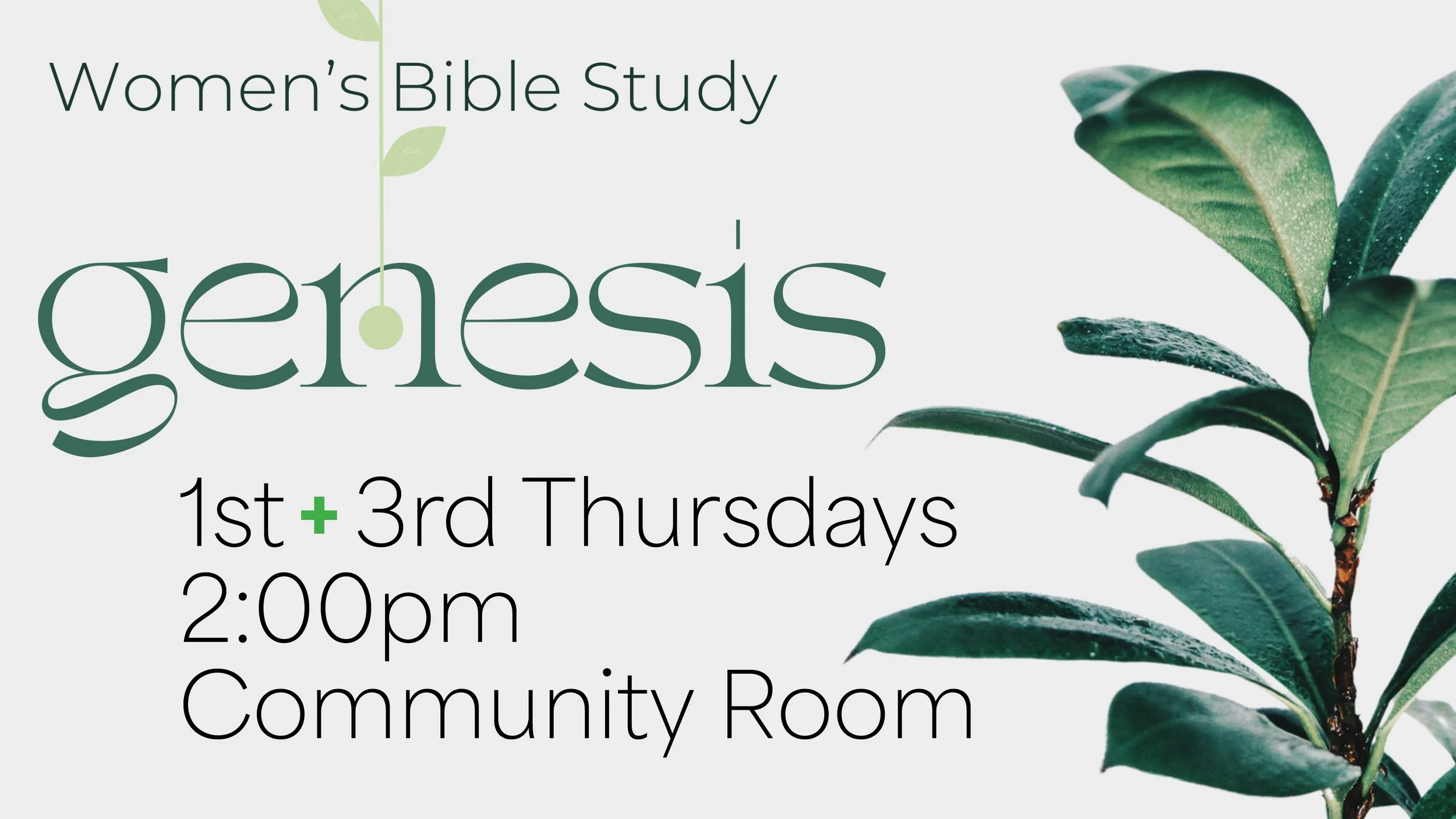 Ladies Bible Class