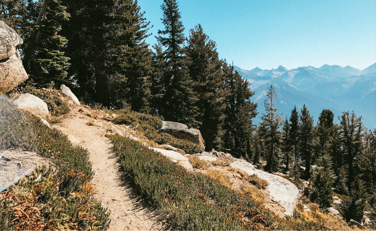 Alta Peak Guided Day Hike - Sequoia National Park