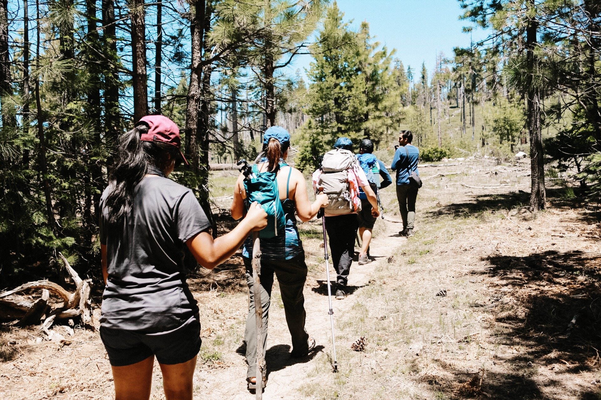 Backpacking Yosemite's South Rim - Yosemite National Park 