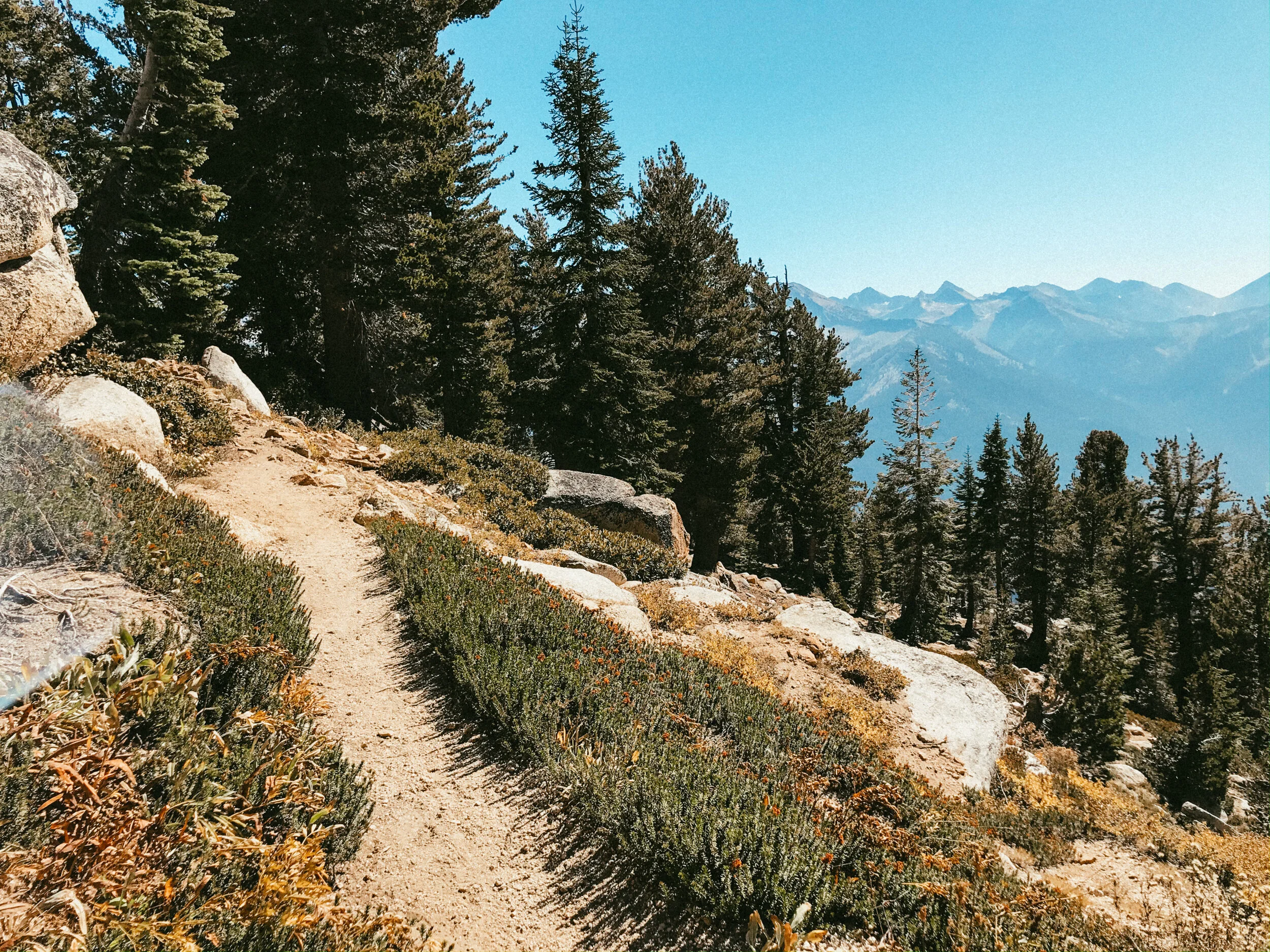 Camping &amp; Hiking Experience - Sequoia National Park