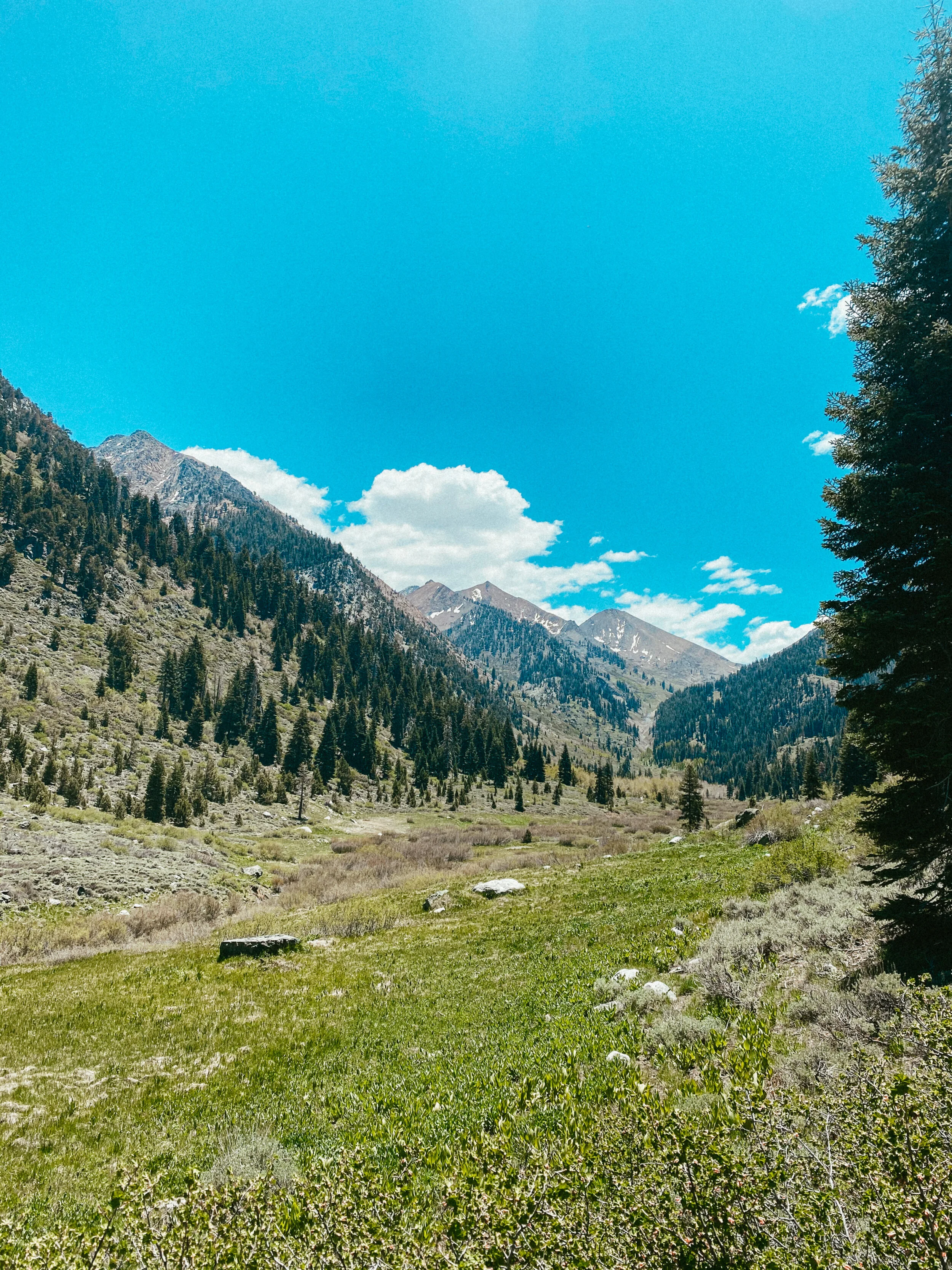 Backpack to Mosquito Lakes - Sequoia National Park