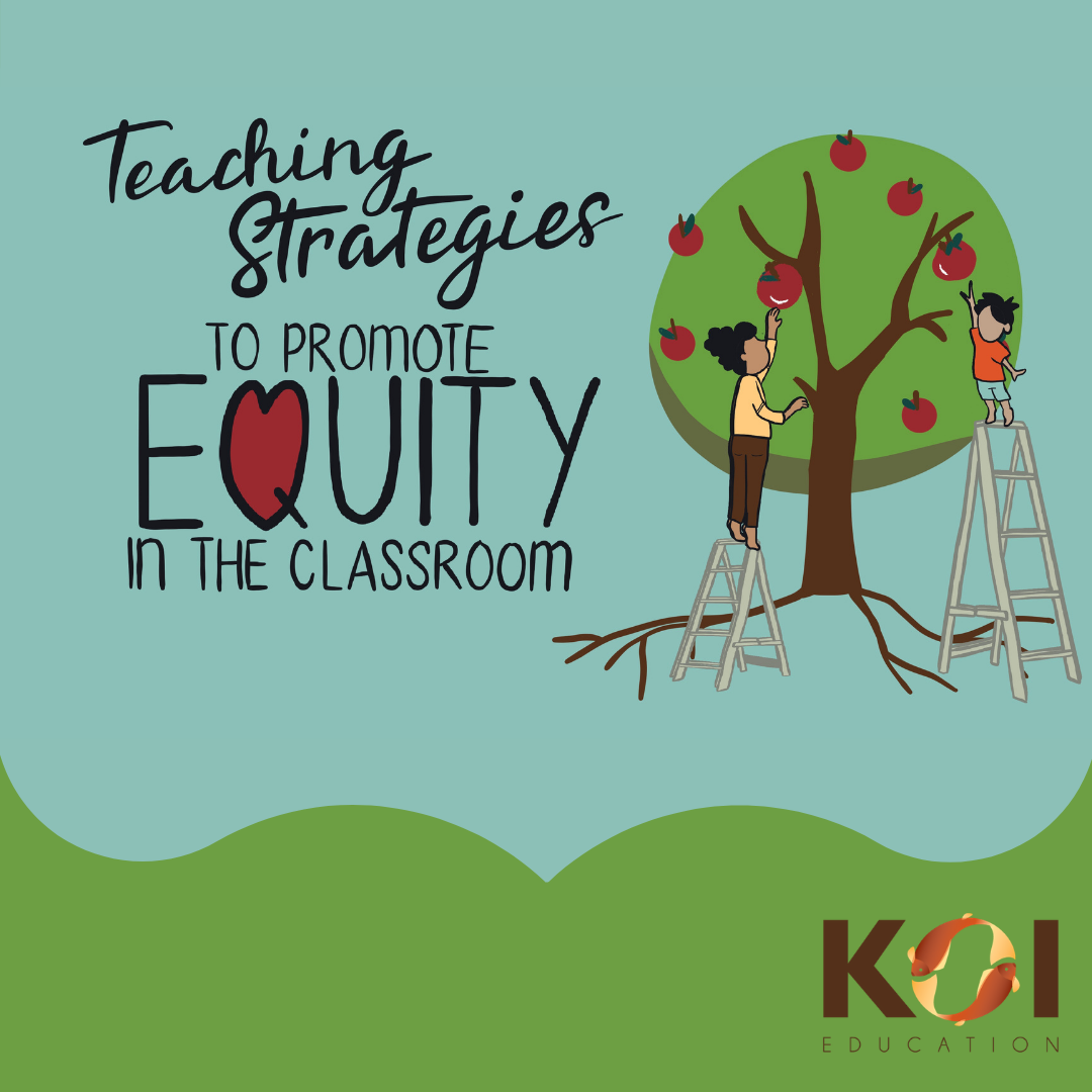 Cover-Equity in the Classroom.png