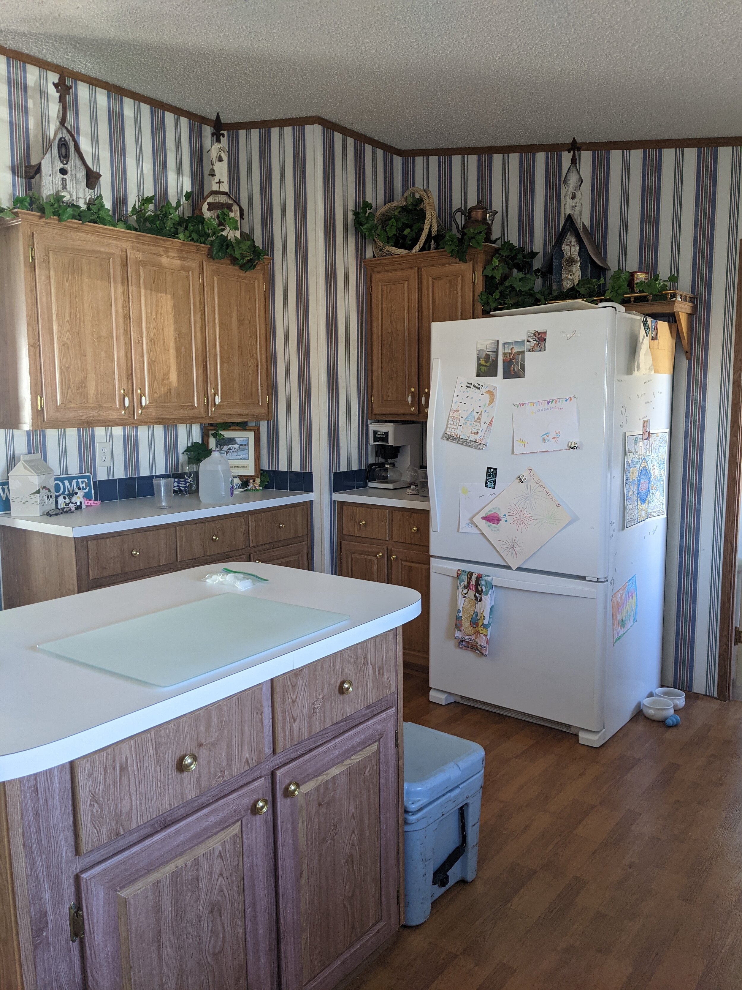 Our Mobile Home Remodel Tara Vander