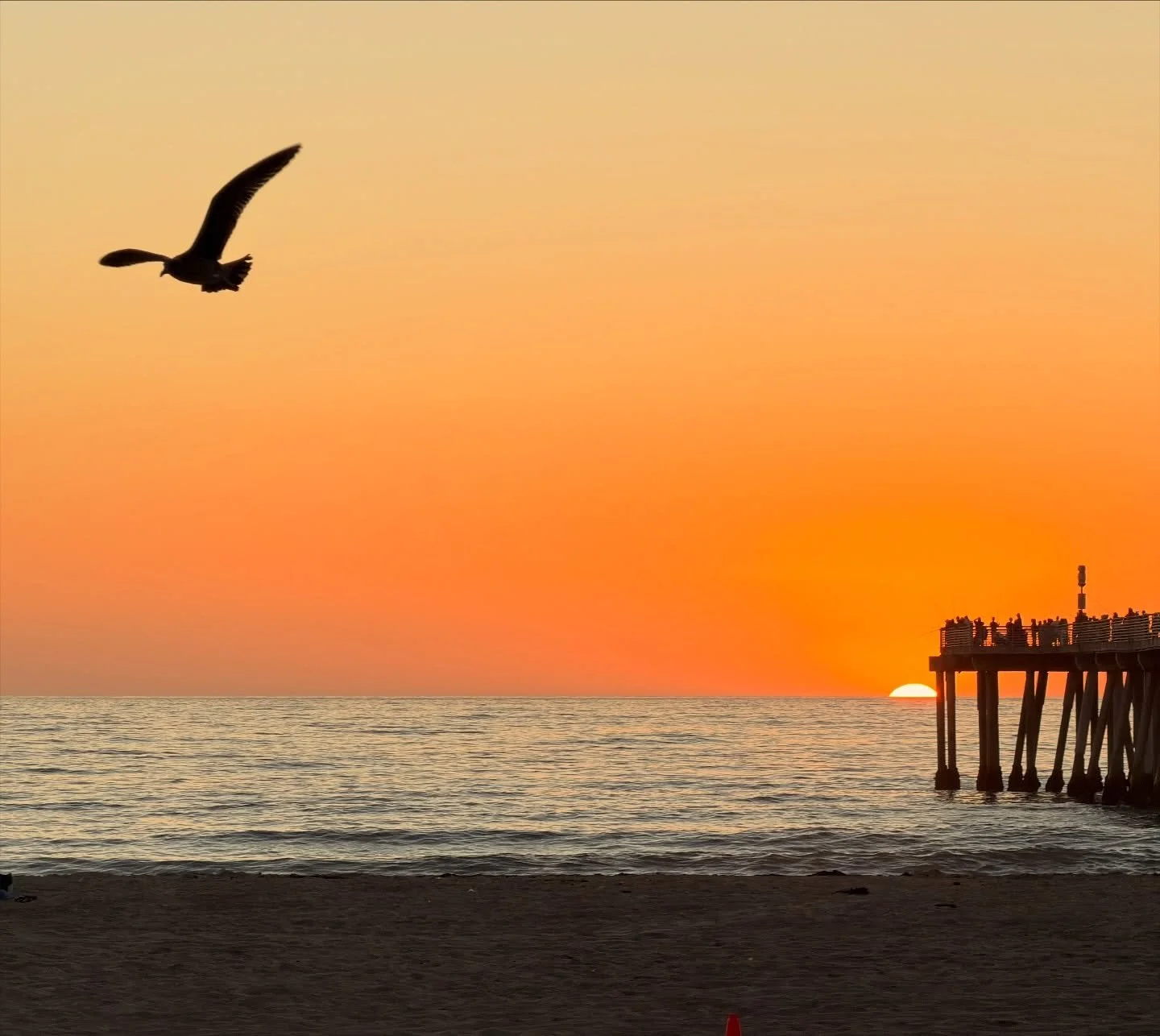 Not AI, just a nice sunset at Hermosa Beach pier. 😱📸🌅
.
.
.
.
.
.
#sunsetonthebeach #sᴜɴsᴇᴛʟᴏᴠᴇʀ #redondobeach #notai #notaigenerated