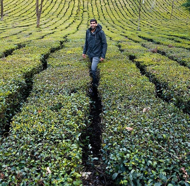 Last portrait before lockdown 😭
.
.
Also me standing in a Tea Garden not coz I like having tea, it's because of the leading lines and it makes me look not so tall! .
.
Also my entry for #MyFavSadakChap &amp; #TheHouseOfCamera contest!!
.
.
 Fun fact