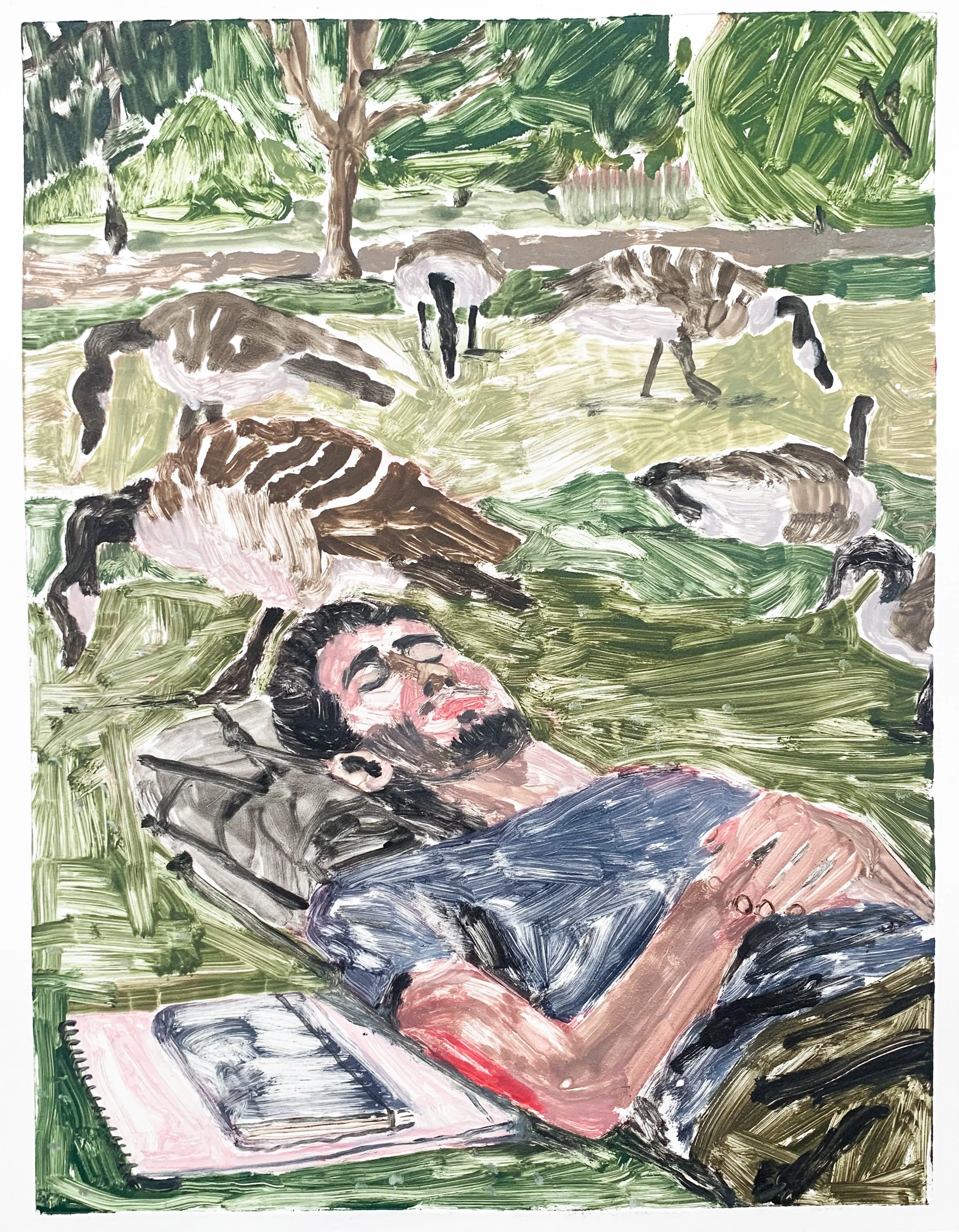 Arun amongst egyptian geese.jpg