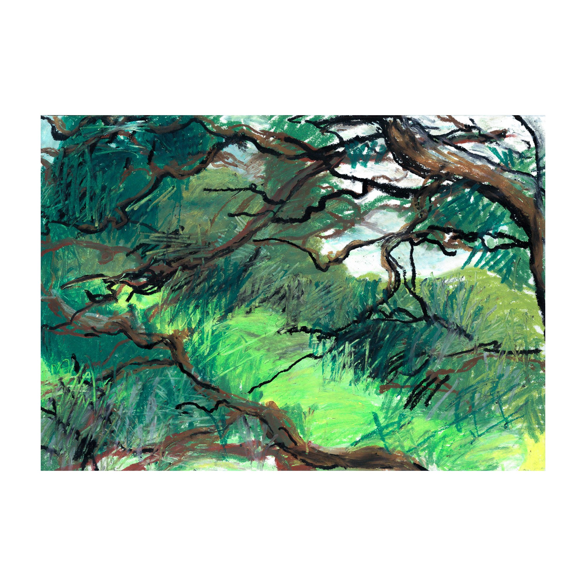 Shinjuku Gyouen midi