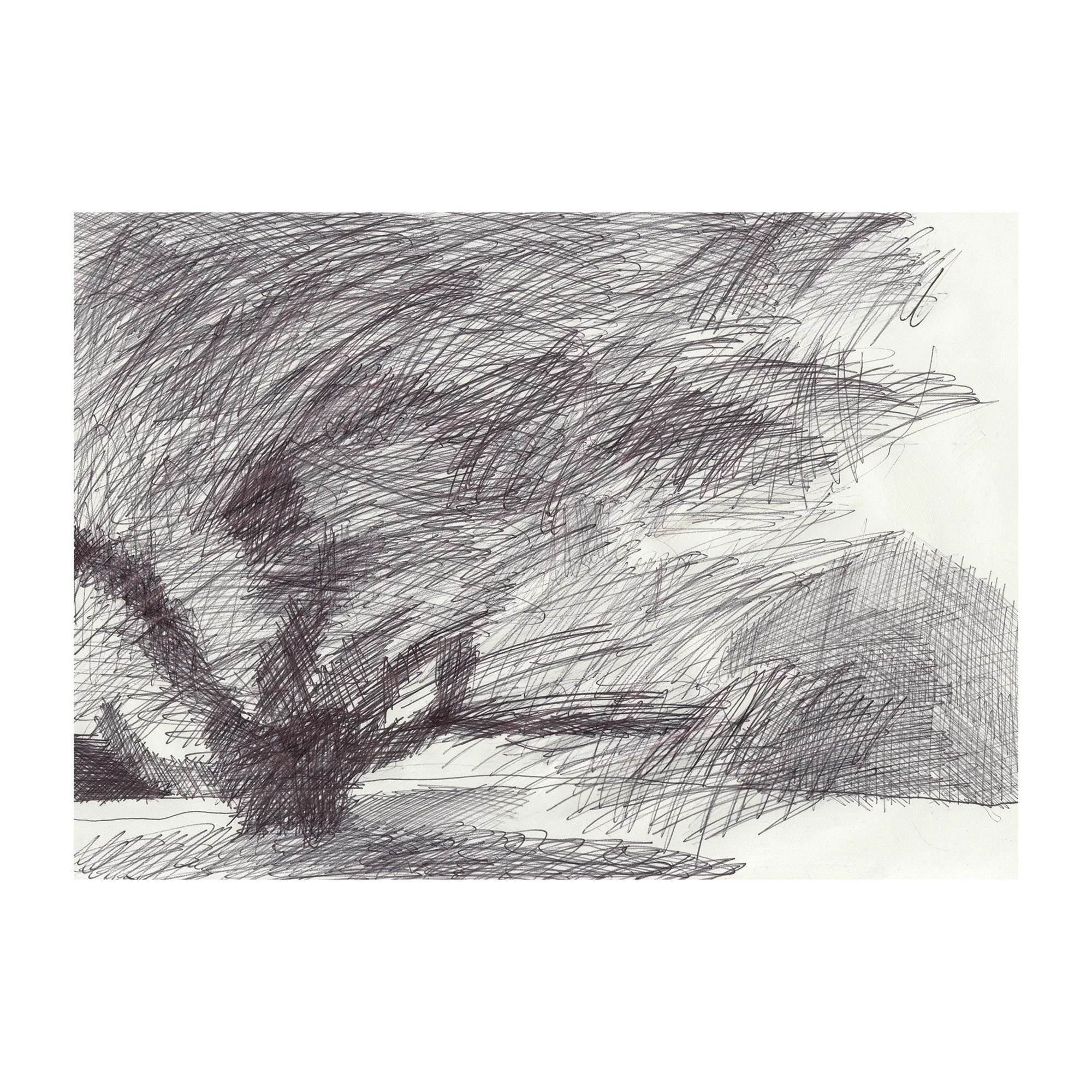 'Kew Garden sighting' Original drawing