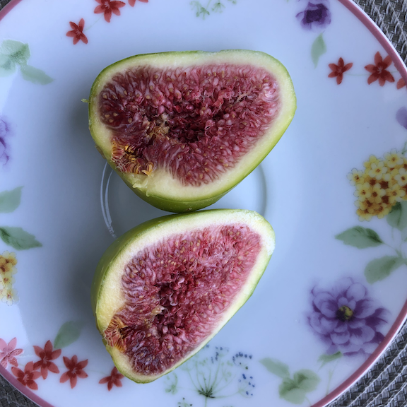figs copy.png