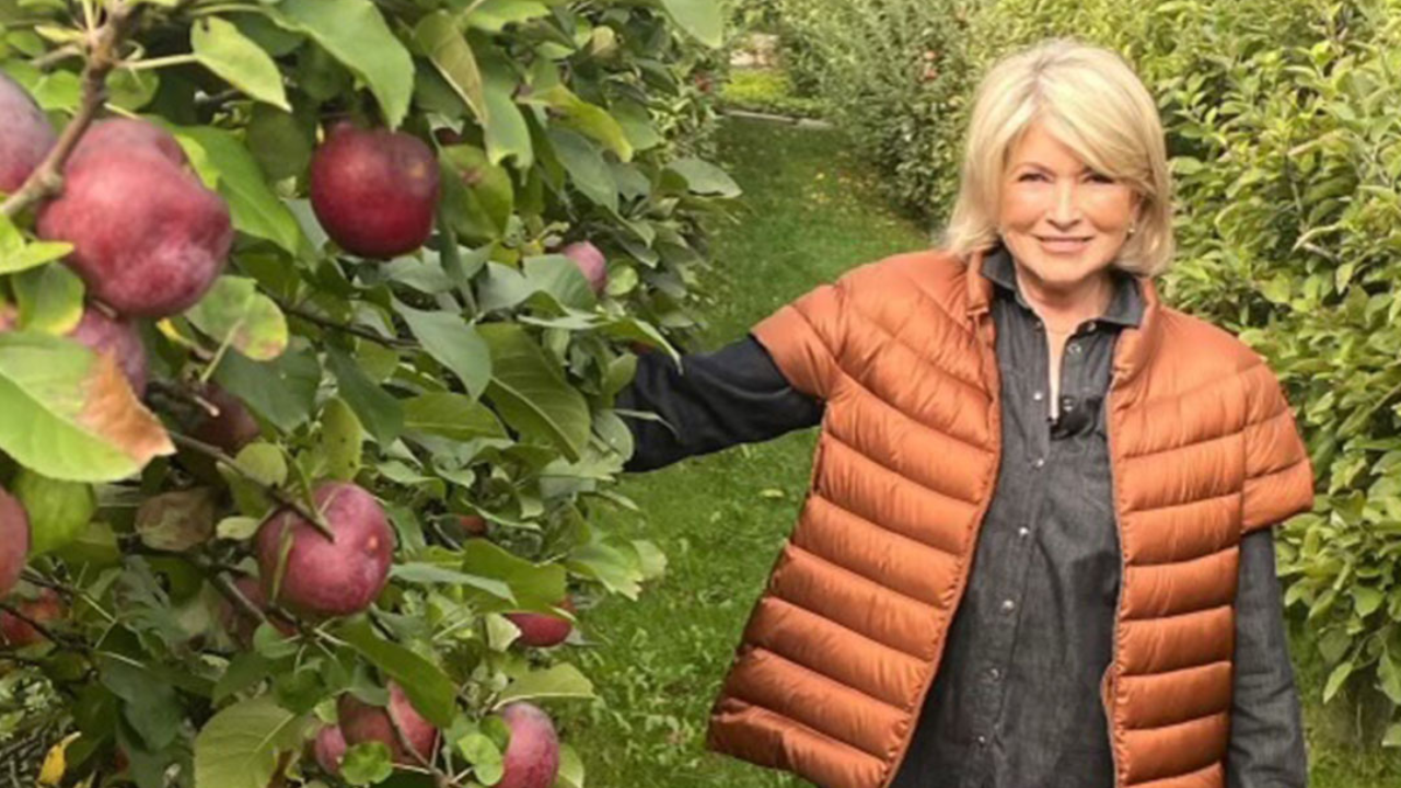 The Year I Worked for Martha Stewart and Fell Back in Love With Marketing