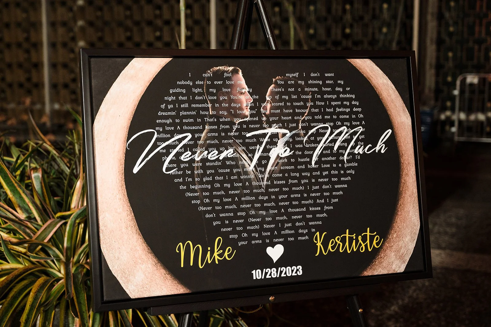 Mike + Kertiste (United States National Arboretum) - MFields Photography 058ashington DC Wedding Photographer.JPG