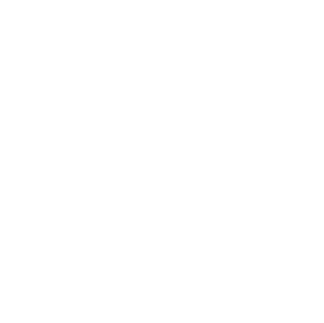 Sally (Copy)