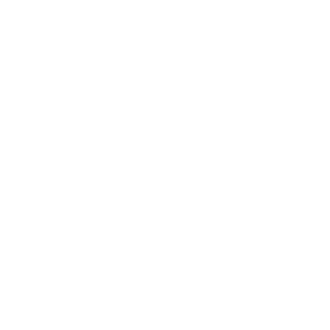 Provident (Copy)